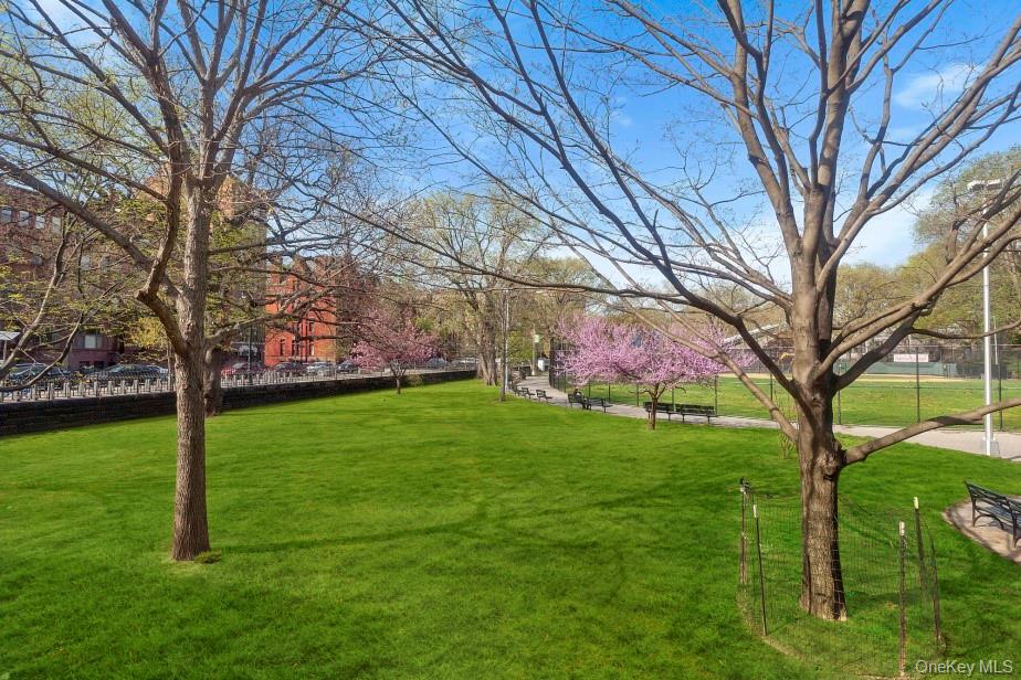 #12 photo, 1919 Madison Avenue, マンハッタン New York (Manhattan) , NY 10035