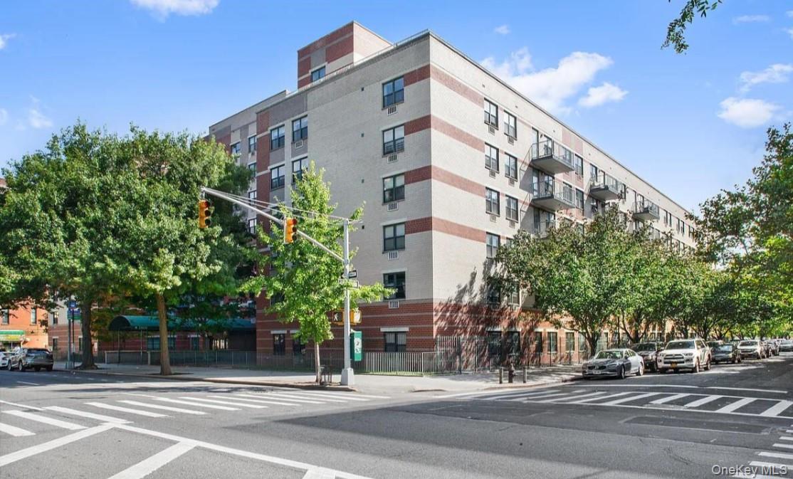 #14 photo, 1919 Madison Avenue, マンハッタン New York (Manhattan) , NY 10035