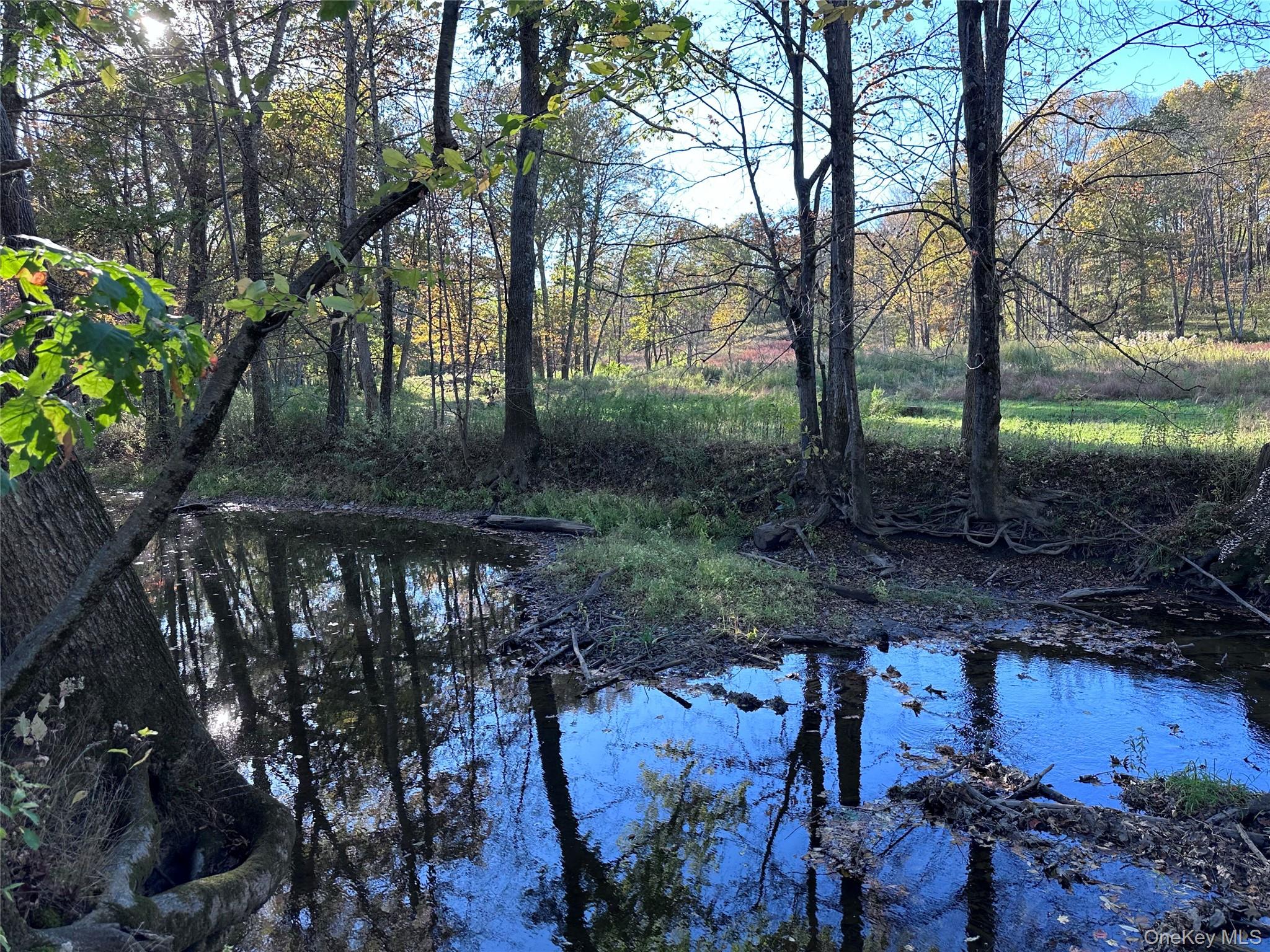 #8 photo, TBD Pompeys Cave Road, High Falls , NY 12440