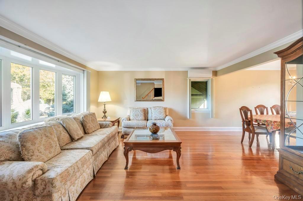 #10 photo, 2 Ash Place, ナッソー郡 New Hyde Park , NY 11040