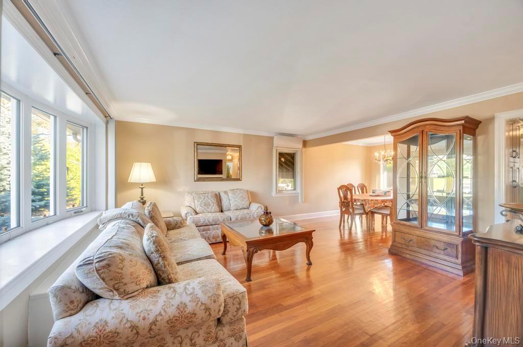 #8 photo, 2 Ash Place, ナッソー郡 New Hyde Park , NY 11040