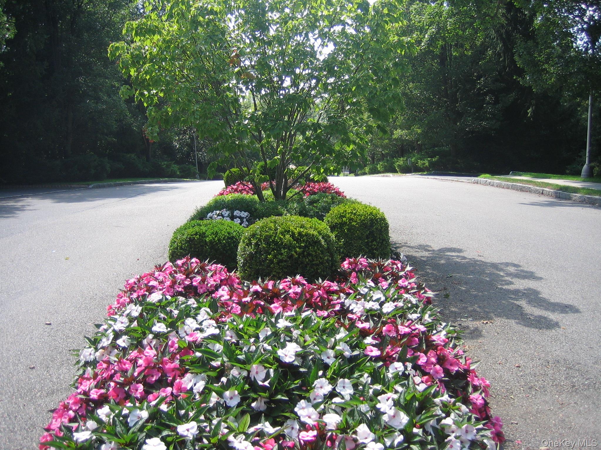 #2 photo, 39 Club Pointe Drive, White Plains , NY 10605