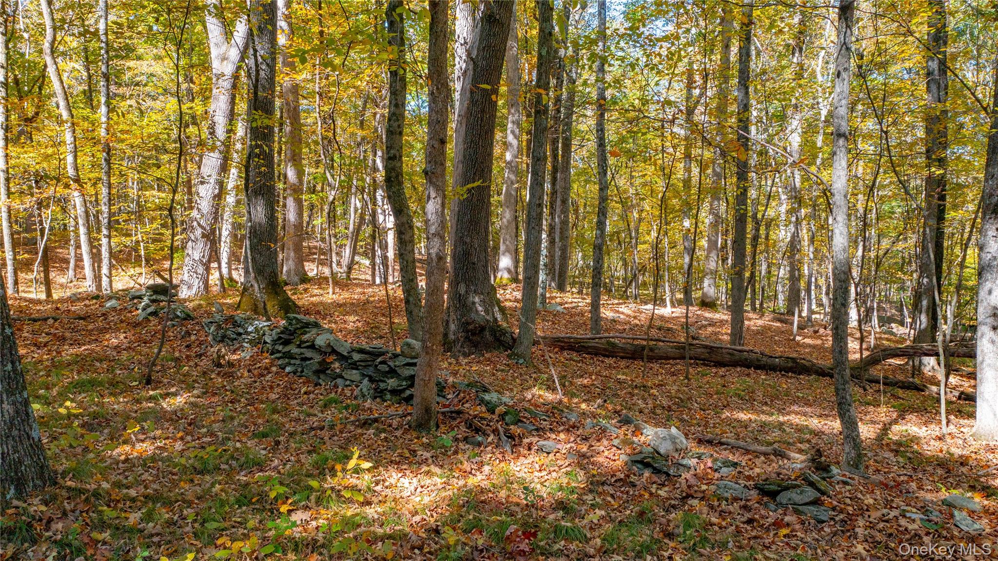 #10 photo, Salisbury Turnpike, Rhinebeck , NY 12572