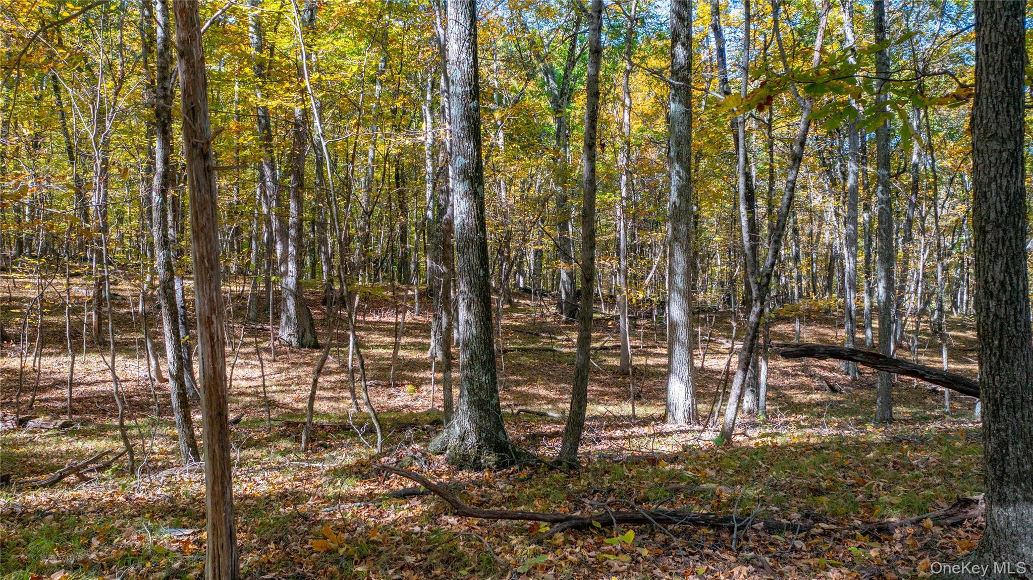 #11 photo, Salisbury Turnpike, Rhinebeck , NY 12572