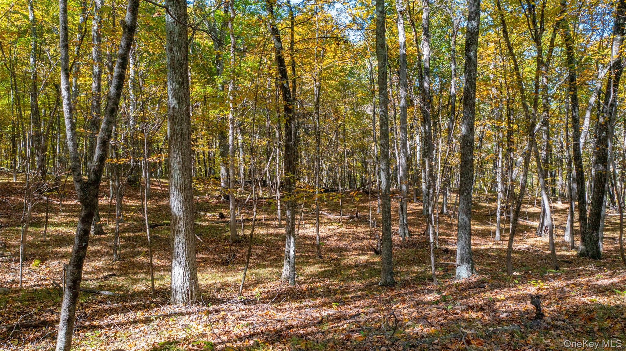 #12 photo, Salisbury Turnpike, Rhinebeck , NY 12572