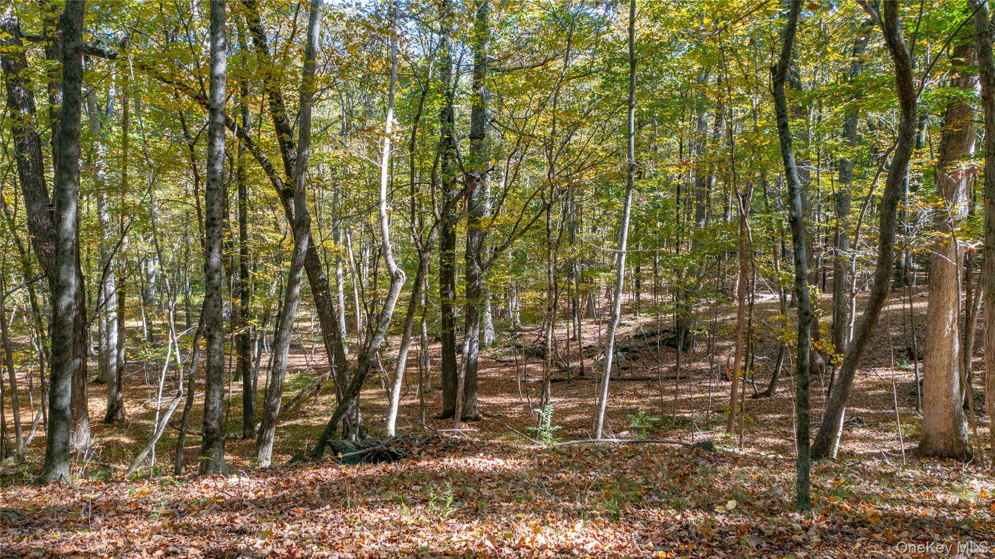 #13 photo, Salisbury Turnpike, Rhinebeck , NY 12572