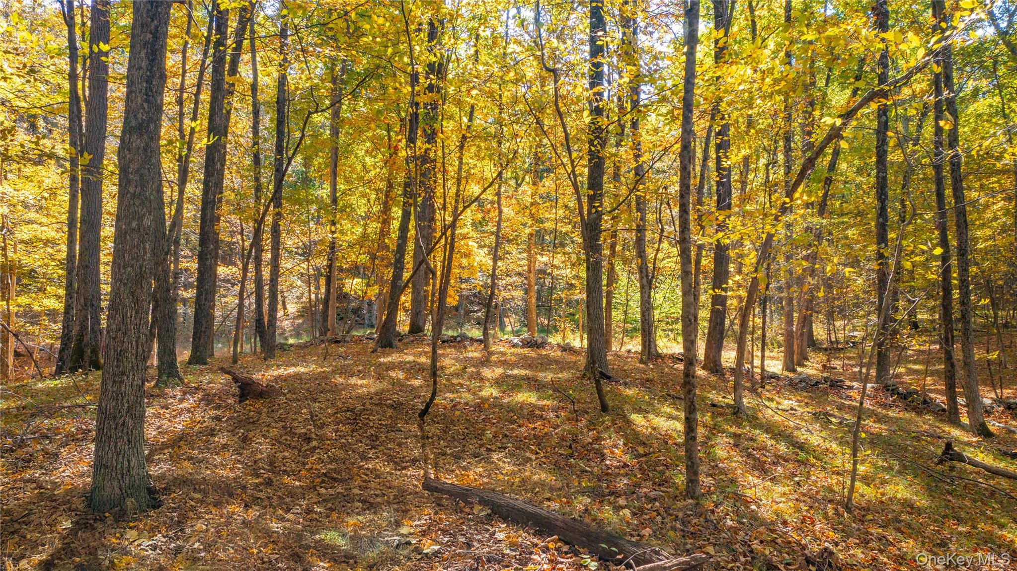 #14 photo, Salisbury Turnpike, Rhinebeck , NY 12572