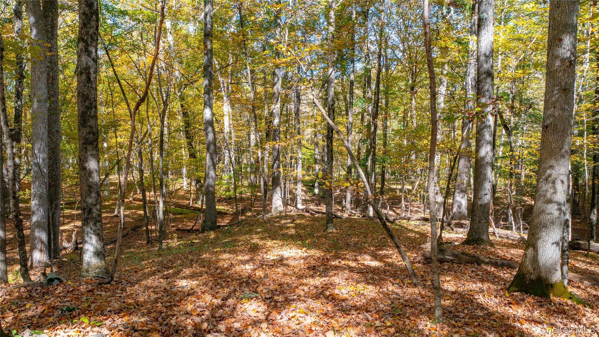 #15 photo, Salisbury Turnpike, Rhinebeck , NY 12572