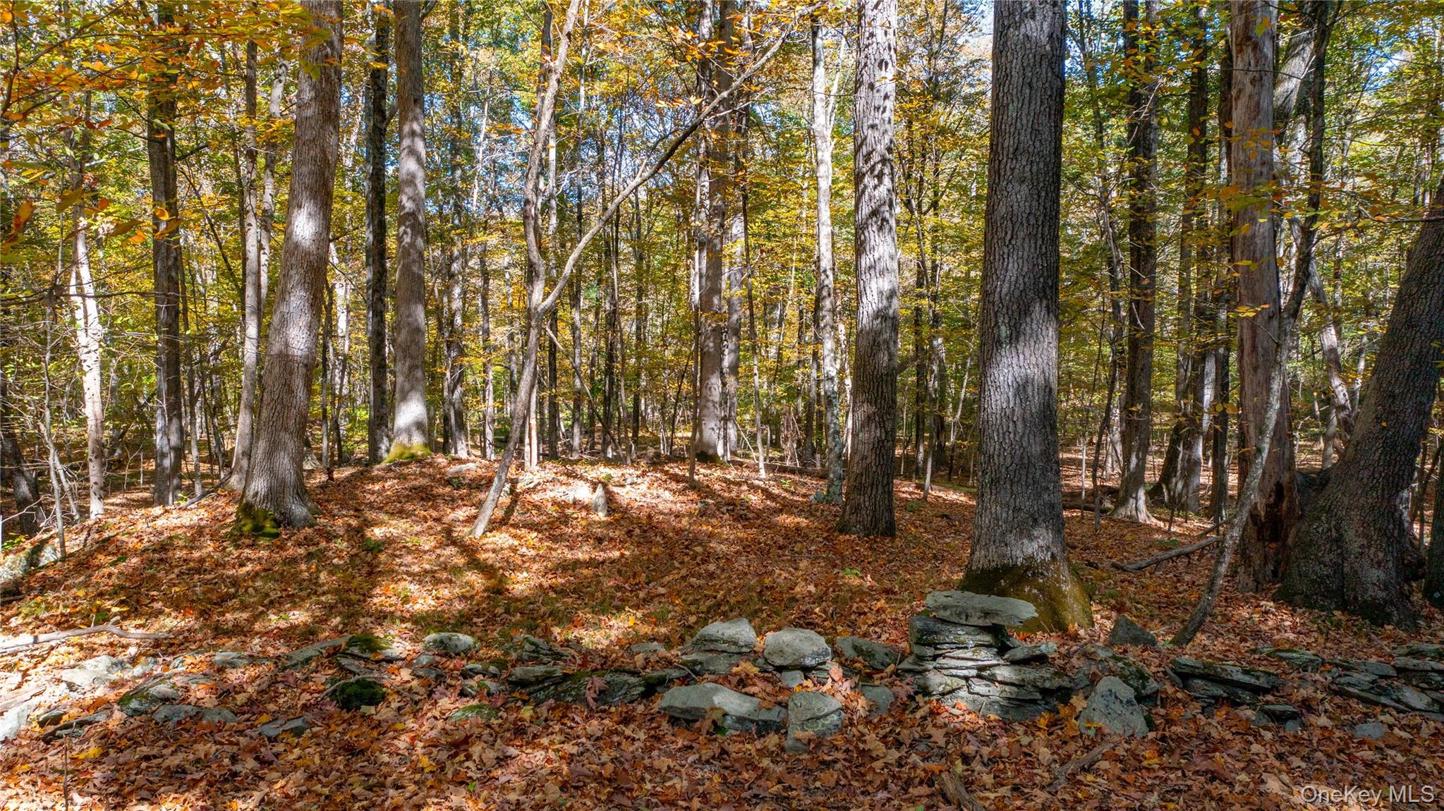 #16 photo, Salisbury Turnpike, Rhinebeck , NY 12572