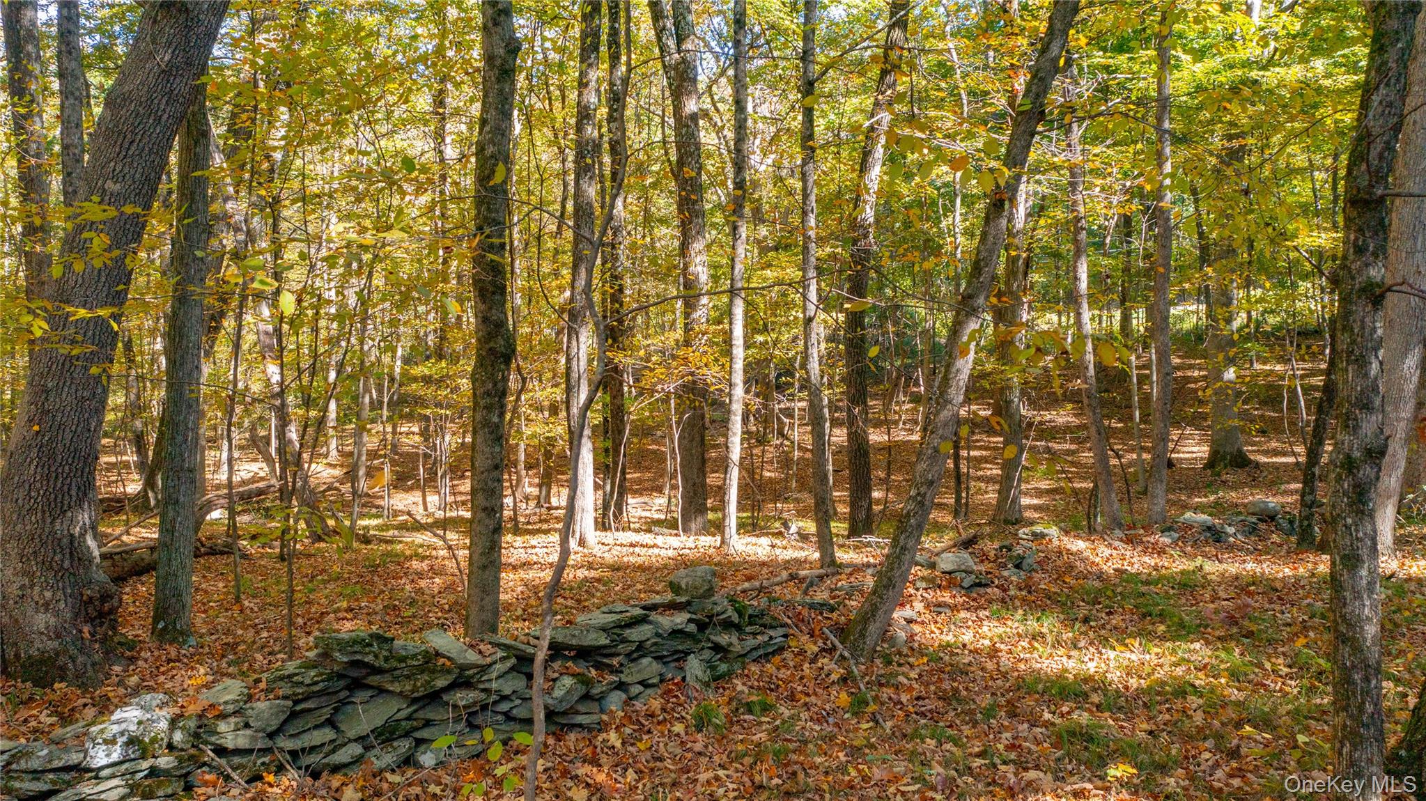 #17 photo, Salisbury Turnpike, Rhinebeck , NY 12572