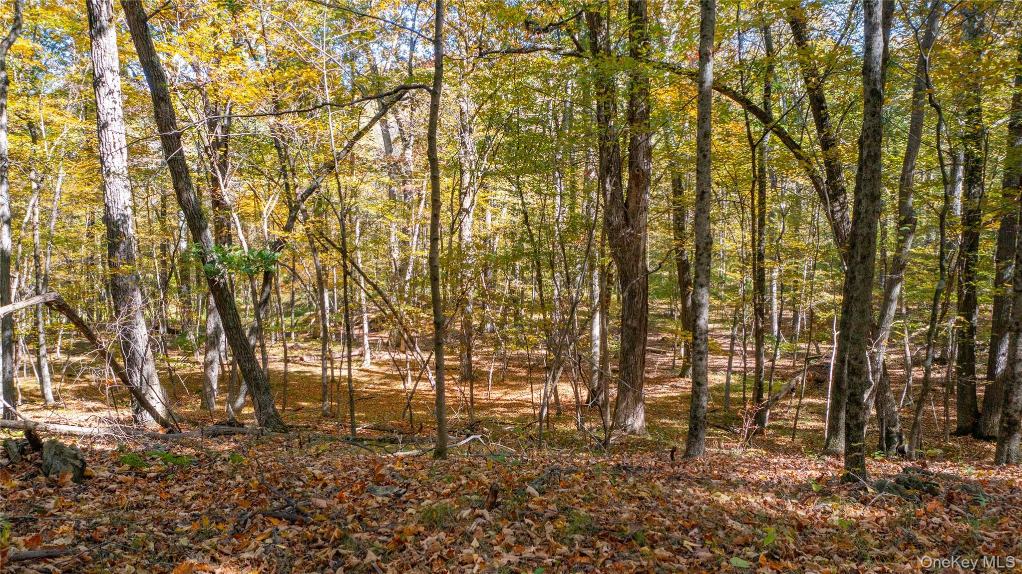 #9 photo, Salisbury Turnpike, Rhinebeck , NY 12572