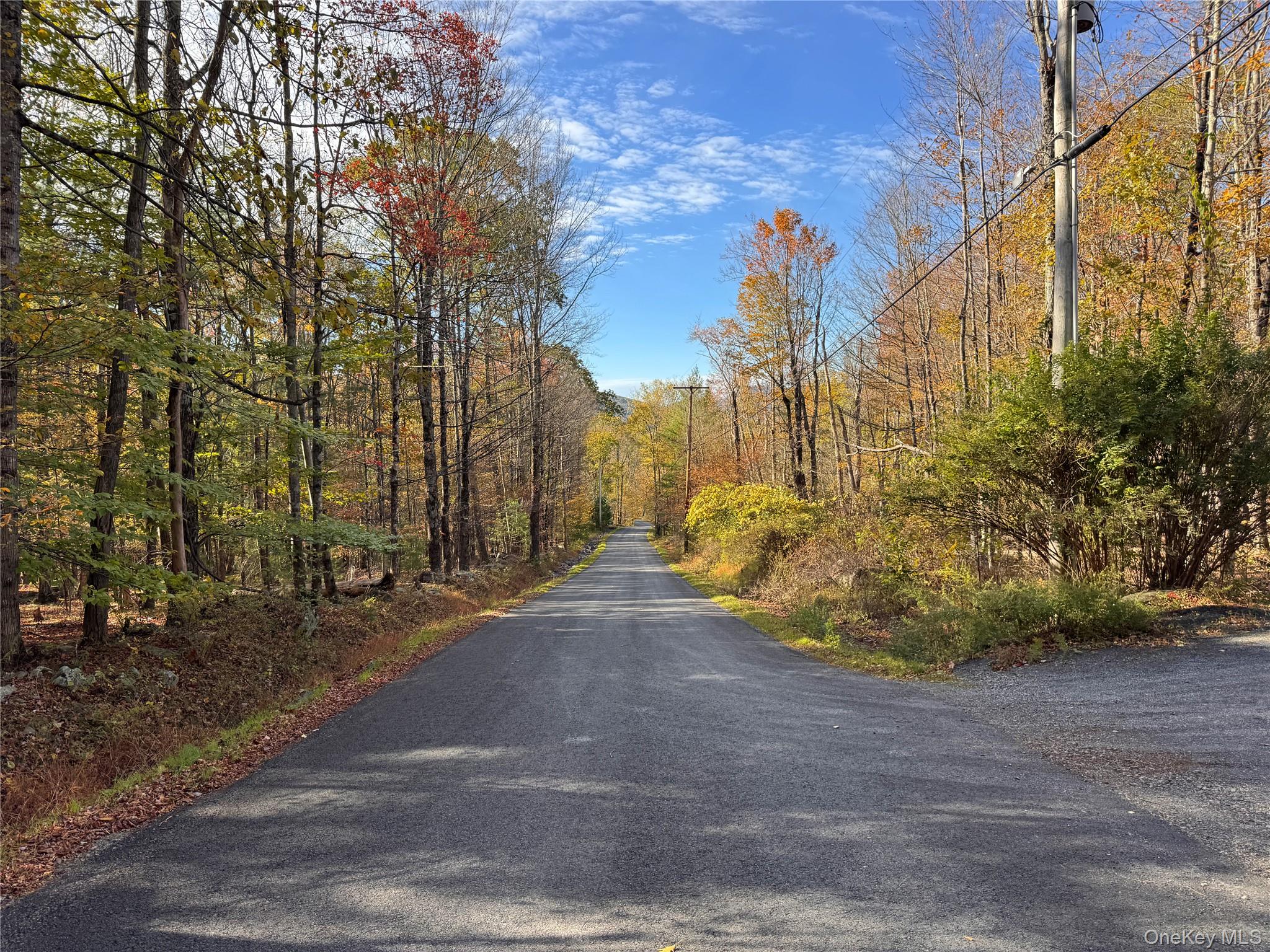 #11 photo, TBD Cross Patch Road, Willow , NY 12498