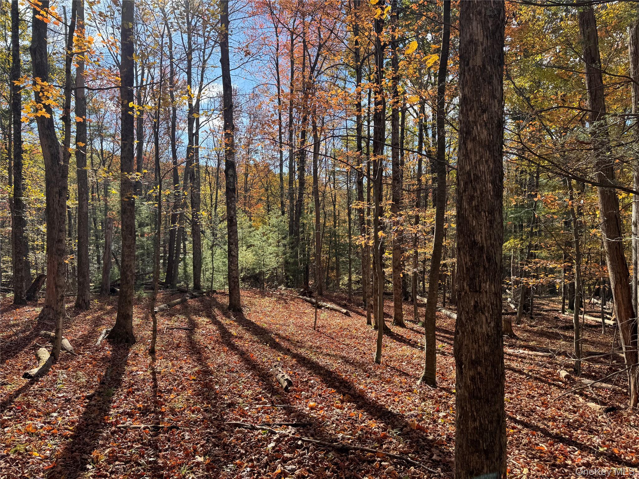 #2 photo, TBD Cross Patch Road, Willow , NY 12498