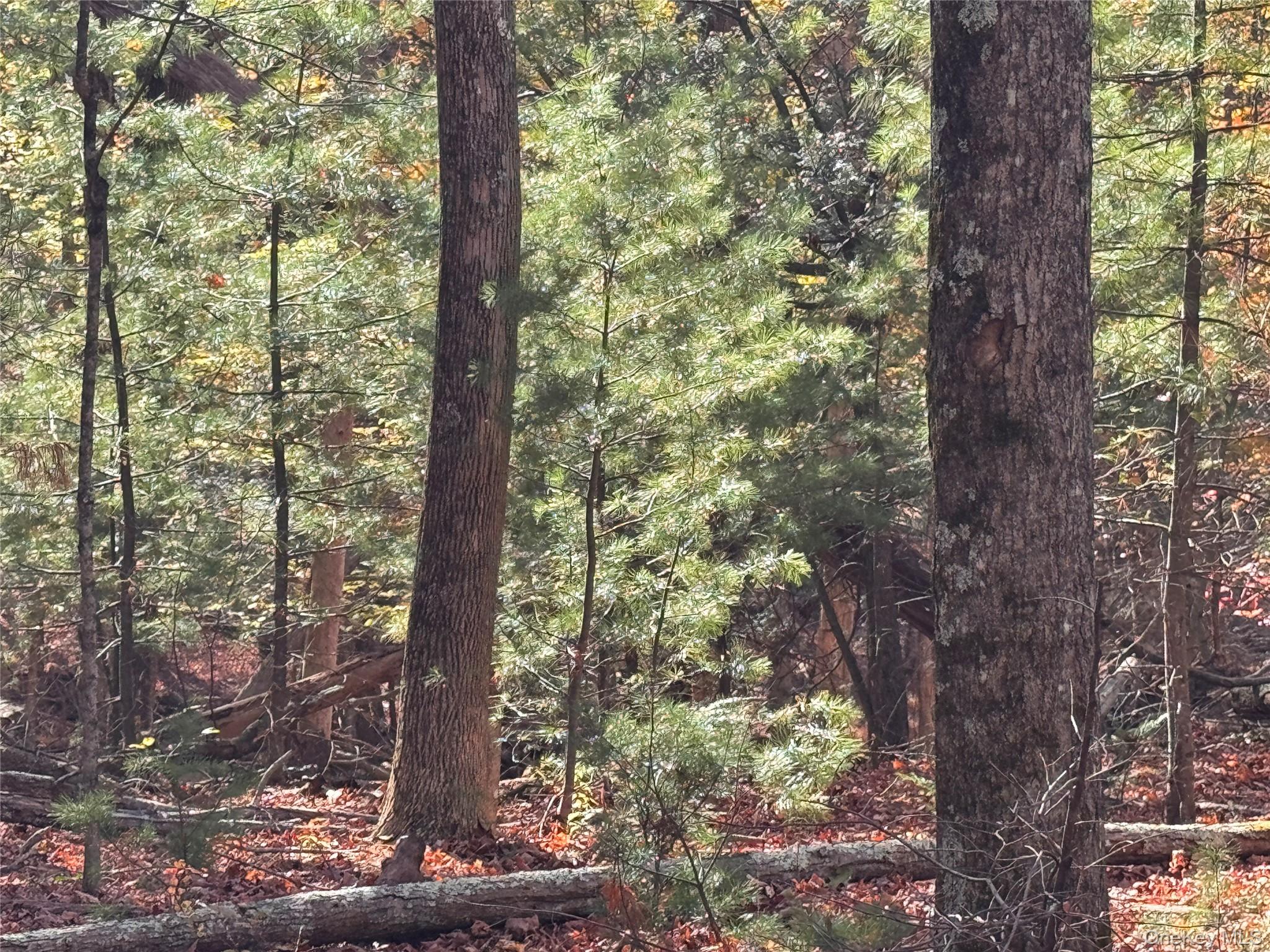 #3 photo, TBD Cross Patch Road, Willow , NY 12498