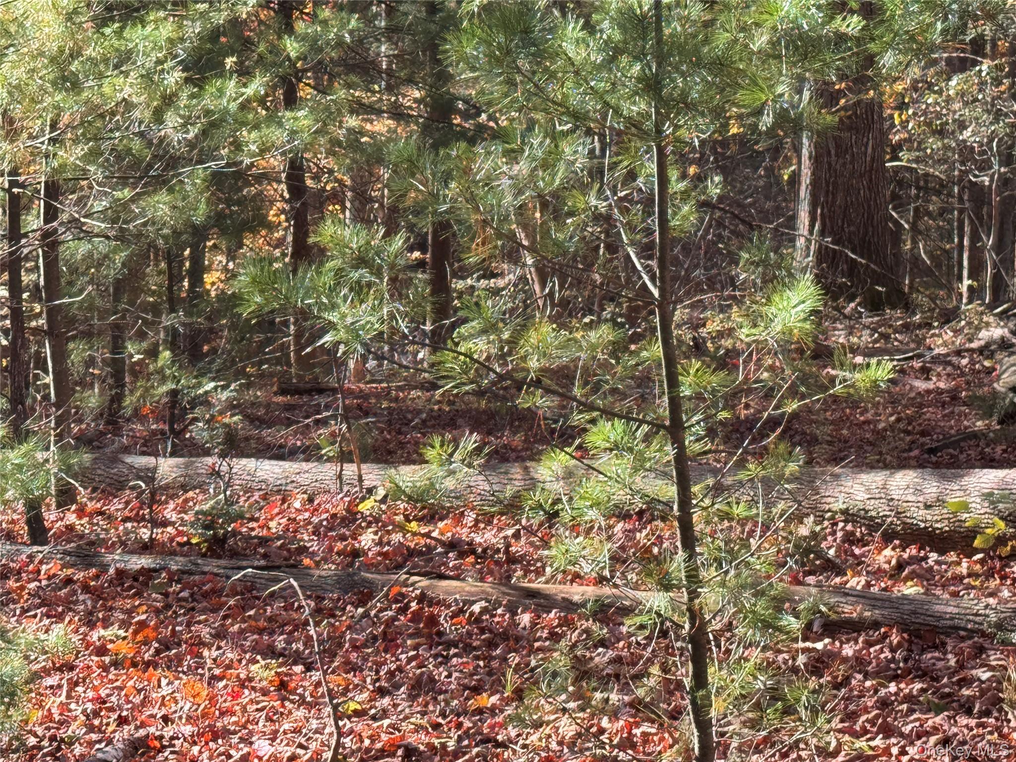 #5 photo, TBD Cross Patch Road, Willow , NY 12498