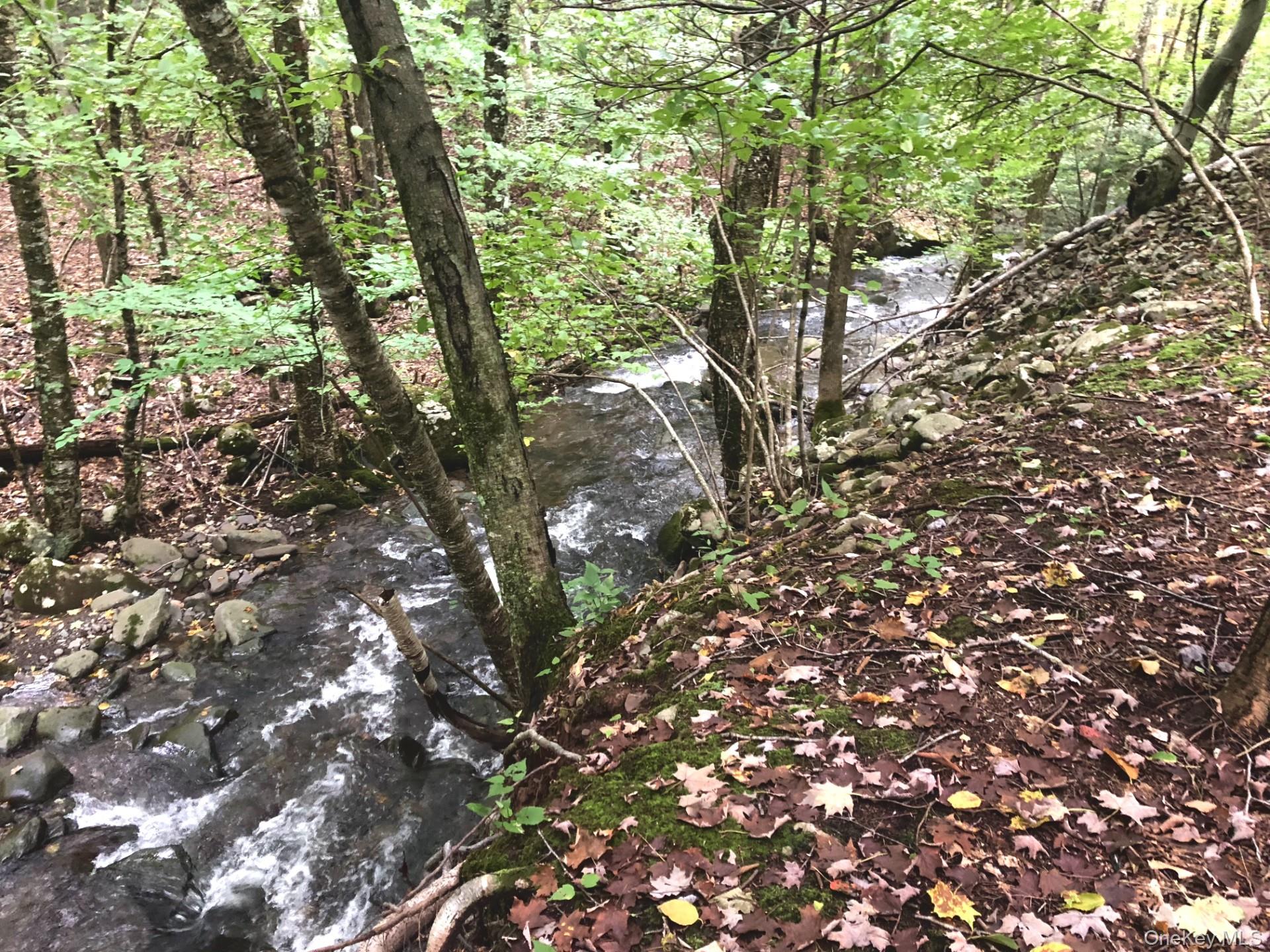 #6 photo, TBD Cross Patch Road, Willow , NY 12498