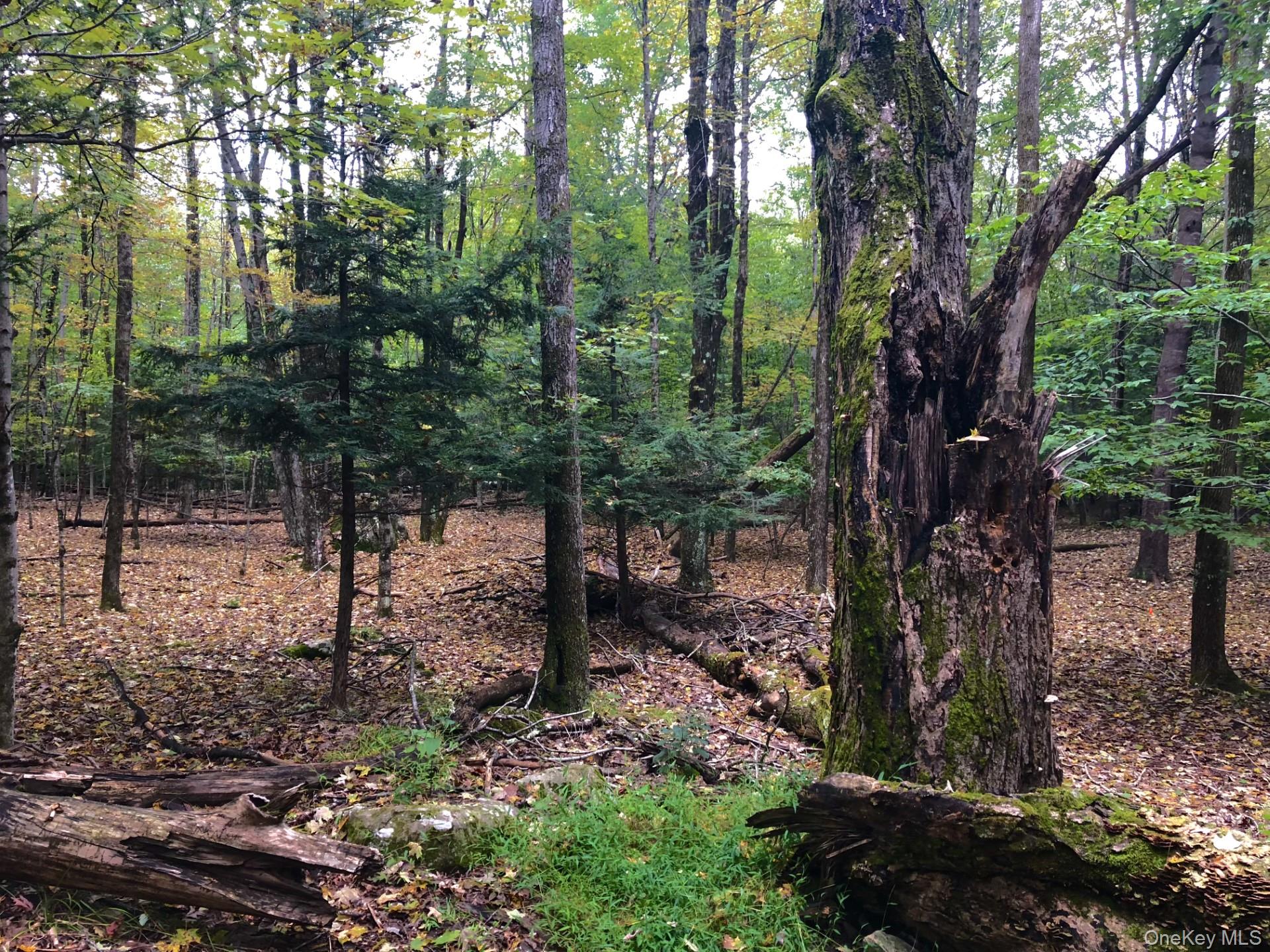 #7 photo, TBD Cross Patch Road, Willow , NY 12498