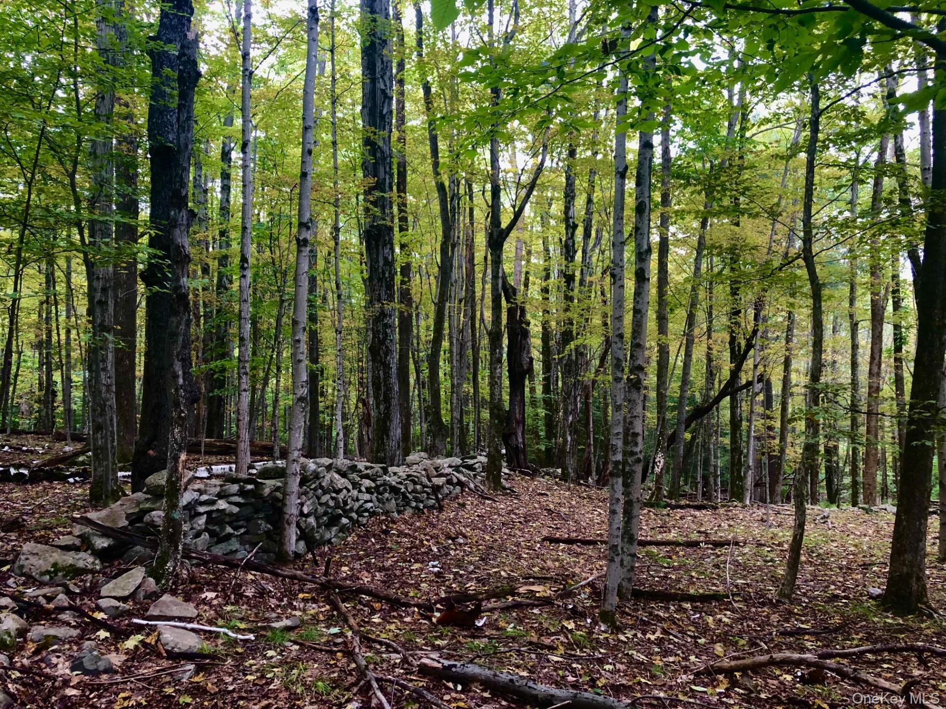 #9 photo, TBD Cross Patch Road, Willow , NY 12498