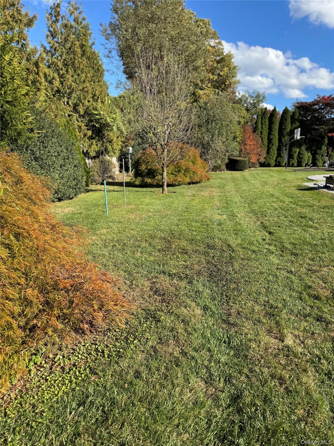 #11 photo, 80 Dorset Road, Scarsdale , NY 10583