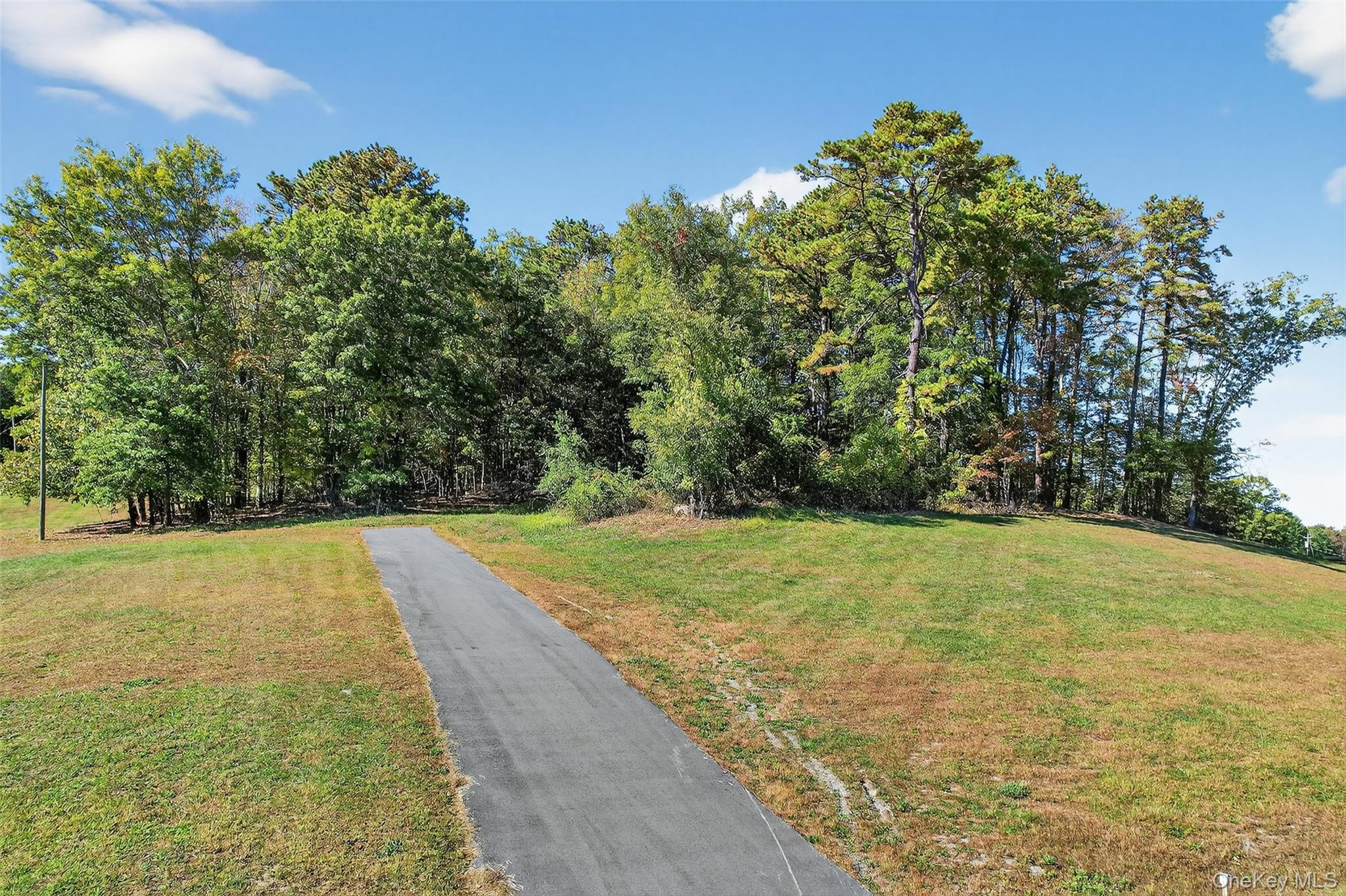 #15 photo, 335 Burlingham Road, Bloomingburg , NY 12721