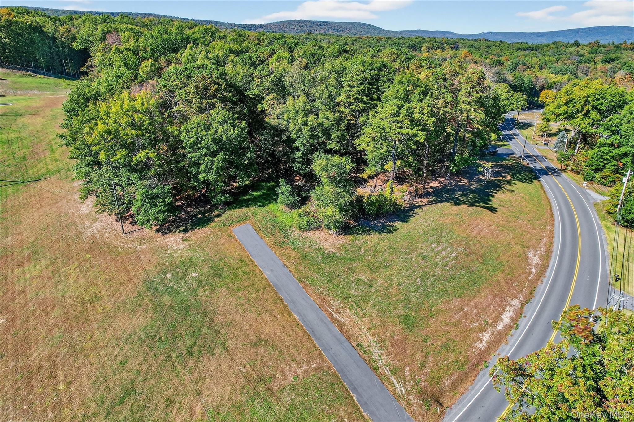 #3 photo, 335 Burlingham Road, Bloomingburg , NY 12721