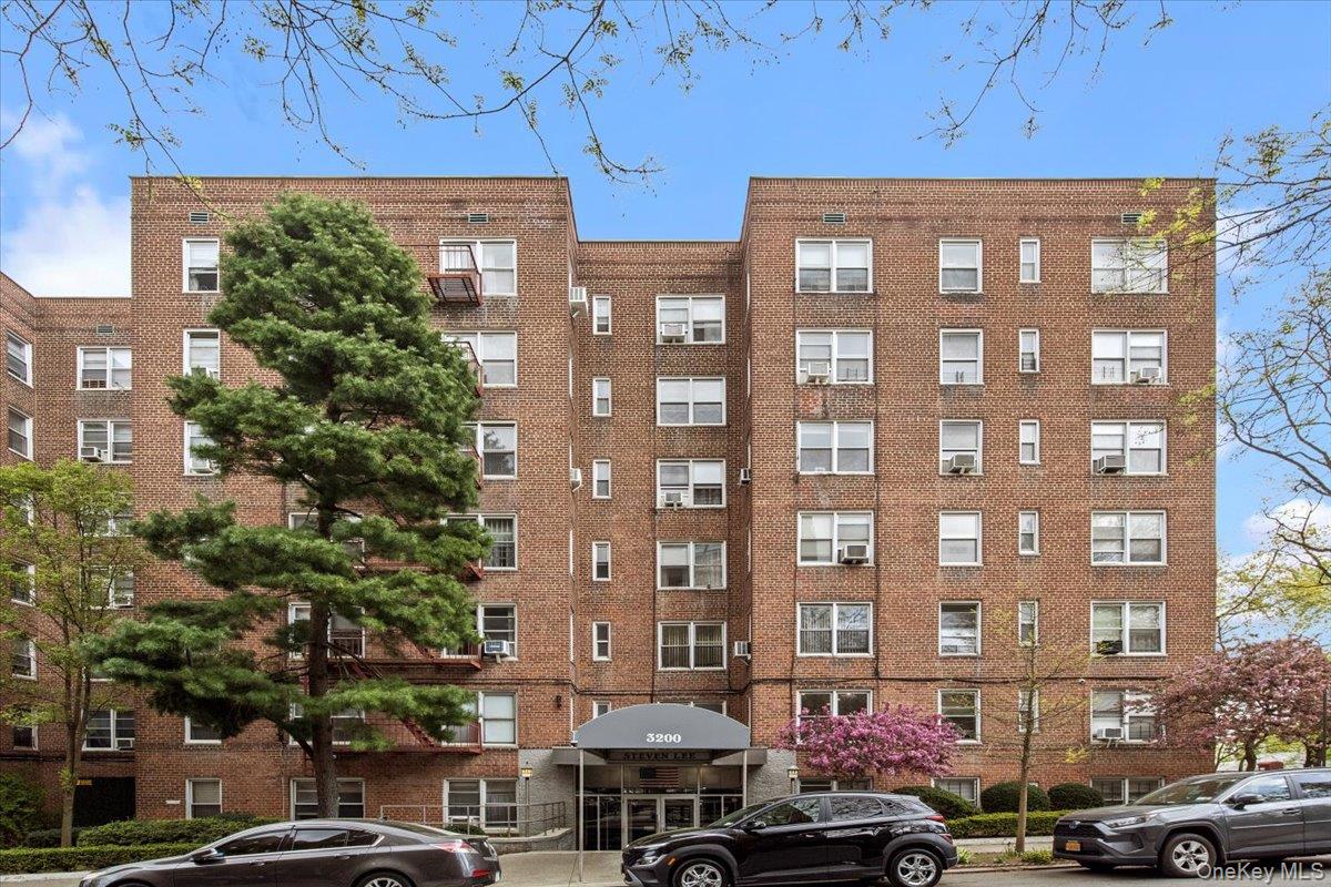 #12 photo, 3200 Netherland Avenue, ブロンクス区 Bronx , NY 10463