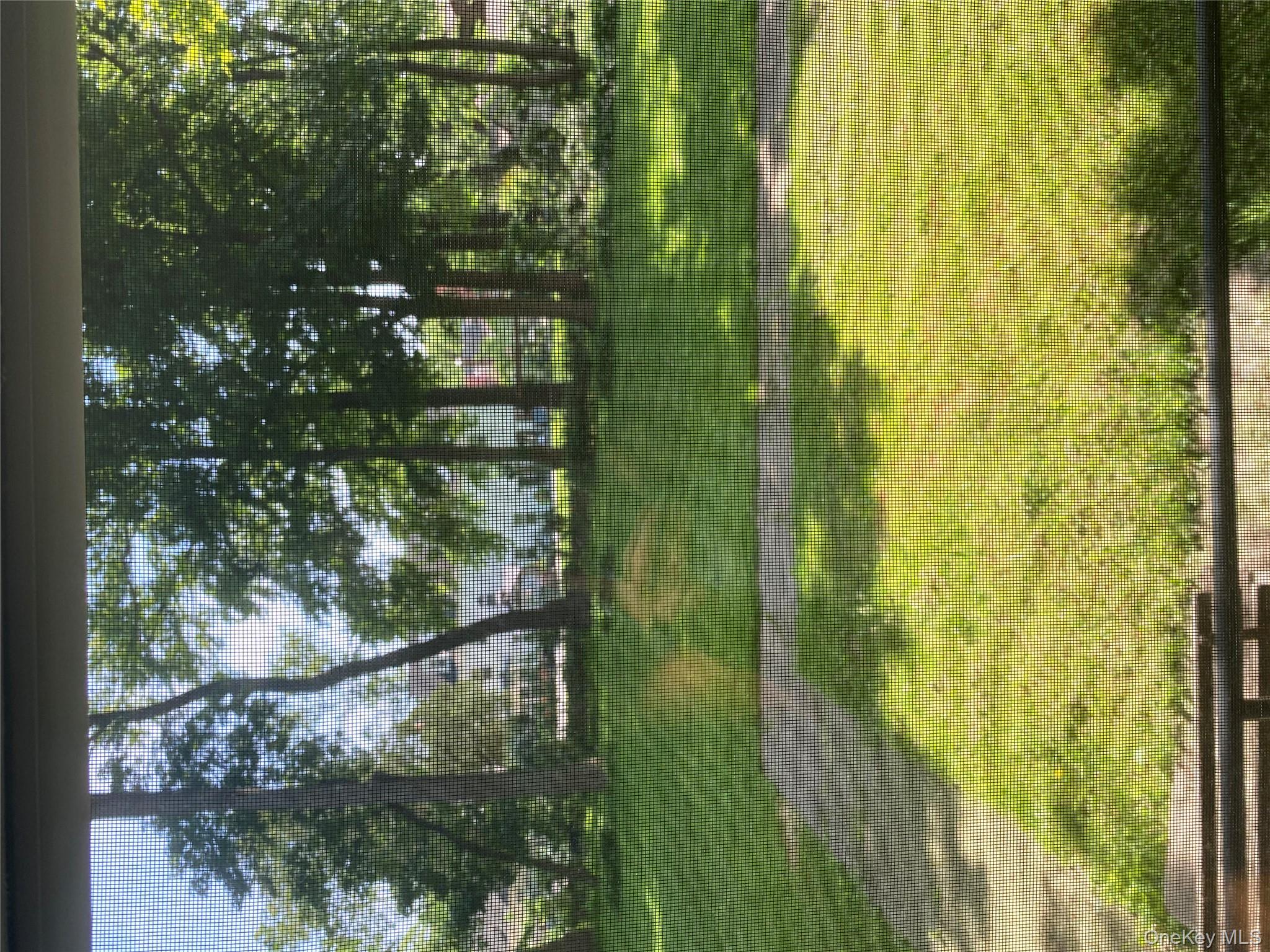 #9 photo, 50 S Middle Neck Road, ナッソー郡 Great Neck , NY 11021