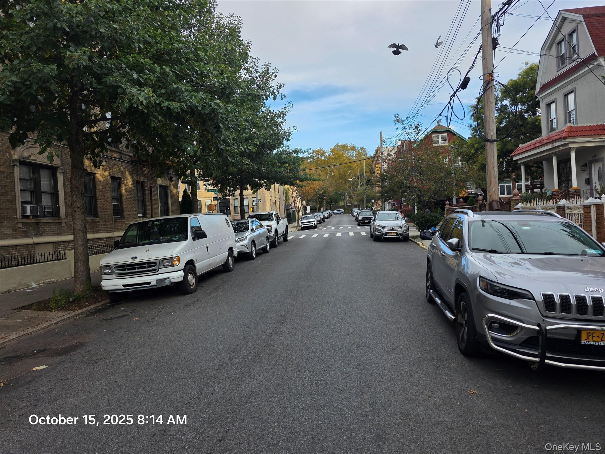 #4 photo, 117 Cleveland Street, ブルックリン区 Brooklyn , NY 11208