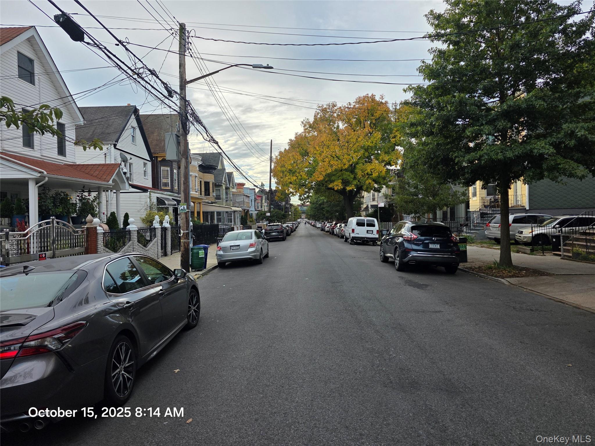 #5 photo, 117 Cleveland Street, ブルックリン区 Brooklyn , NY 11208