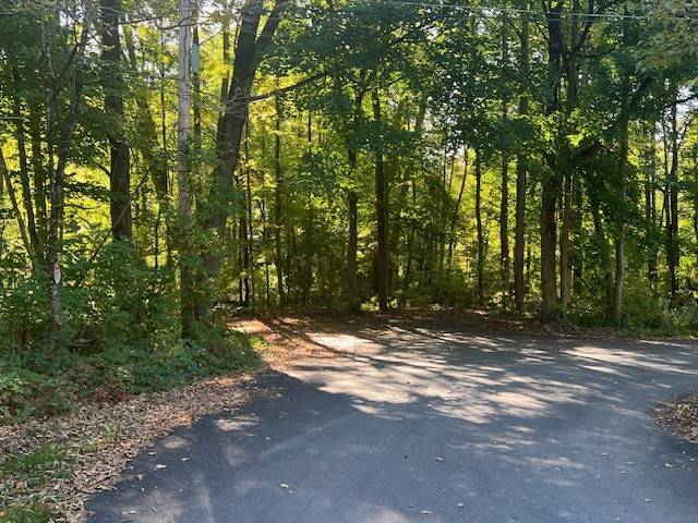 #29 photo, 12 Poplar street, Dolgeville , NY 13329