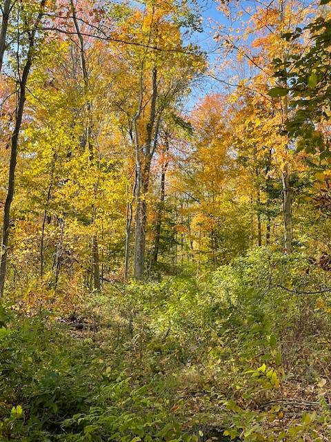 #3 photo, L11 Gates Rd, Eagle Bridge , NY 12057