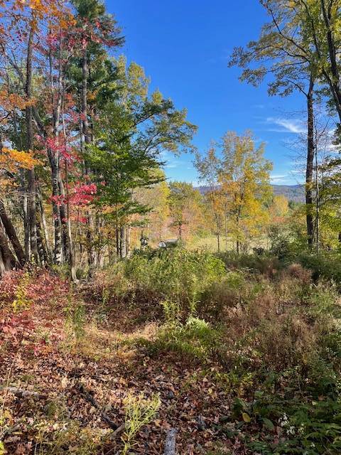 #4 photo, L11 Gates Rd, Eagle Bridge , NY 12057