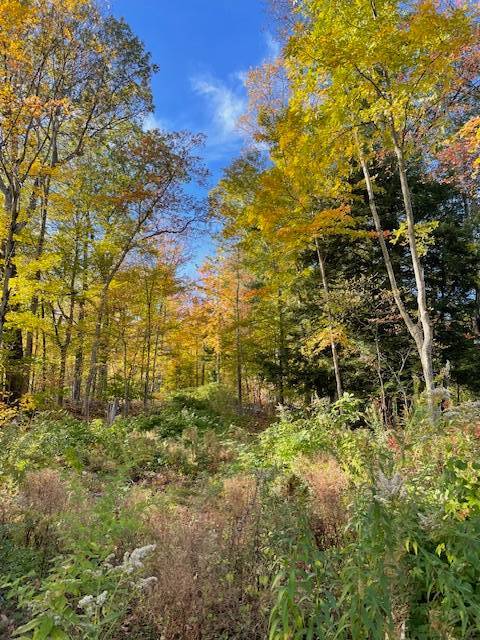 #5 photo, L11 Gates Rd, Eagle Bridge , NY 12057