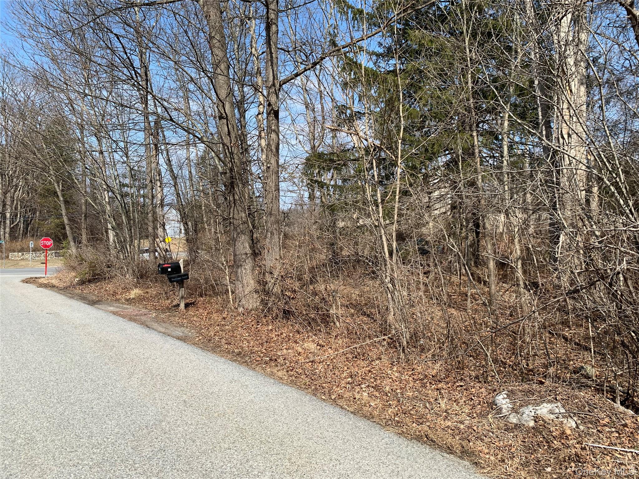 #2 photo, Rt-55, Lagrangeville , NY 12540