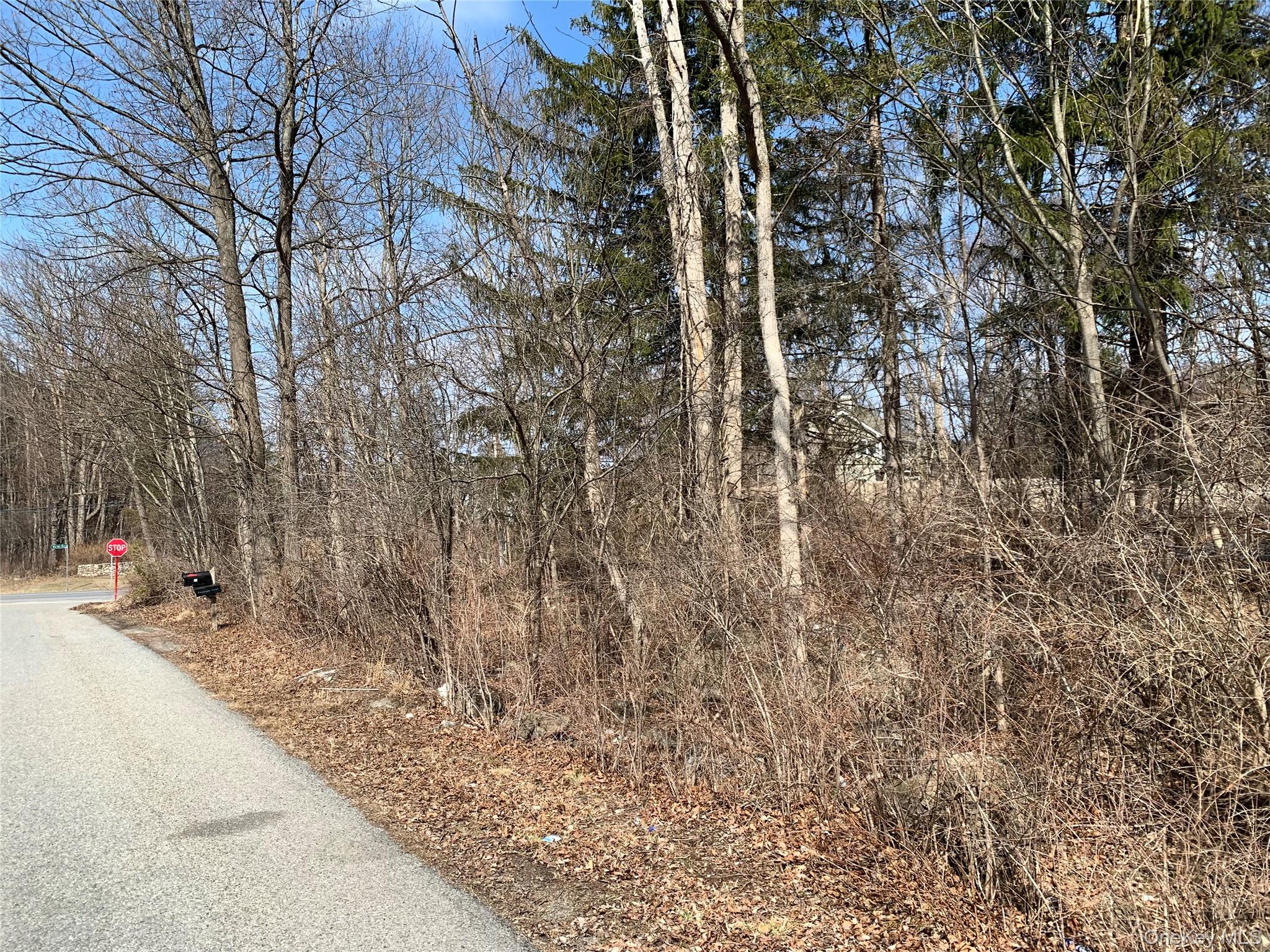 #3 photo, Rt-55, Lagrangeville , NY 12540