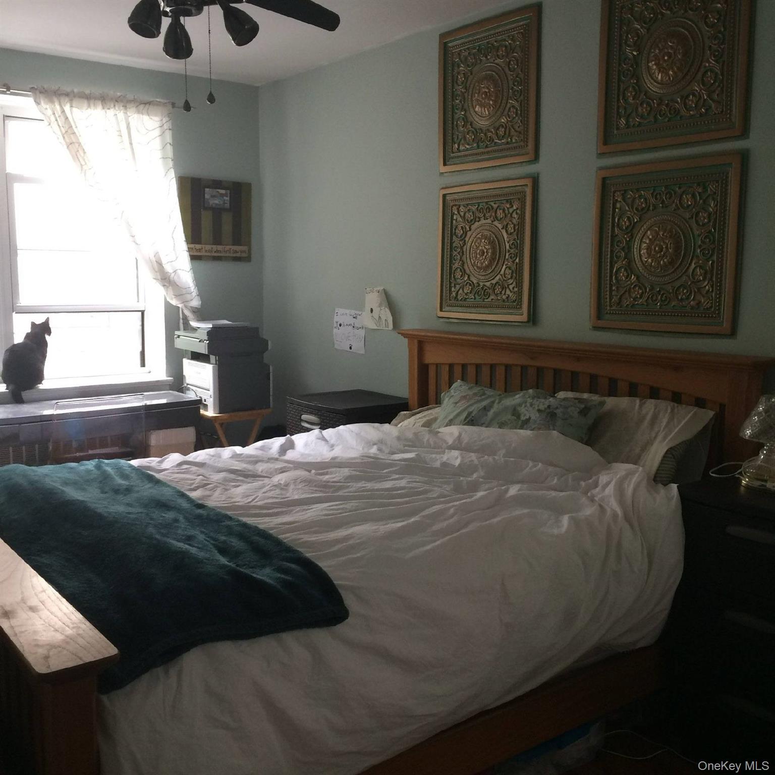 #7 photo, 3176 Decatur Avenue, ブロンクス区 Bronx , NY 10467