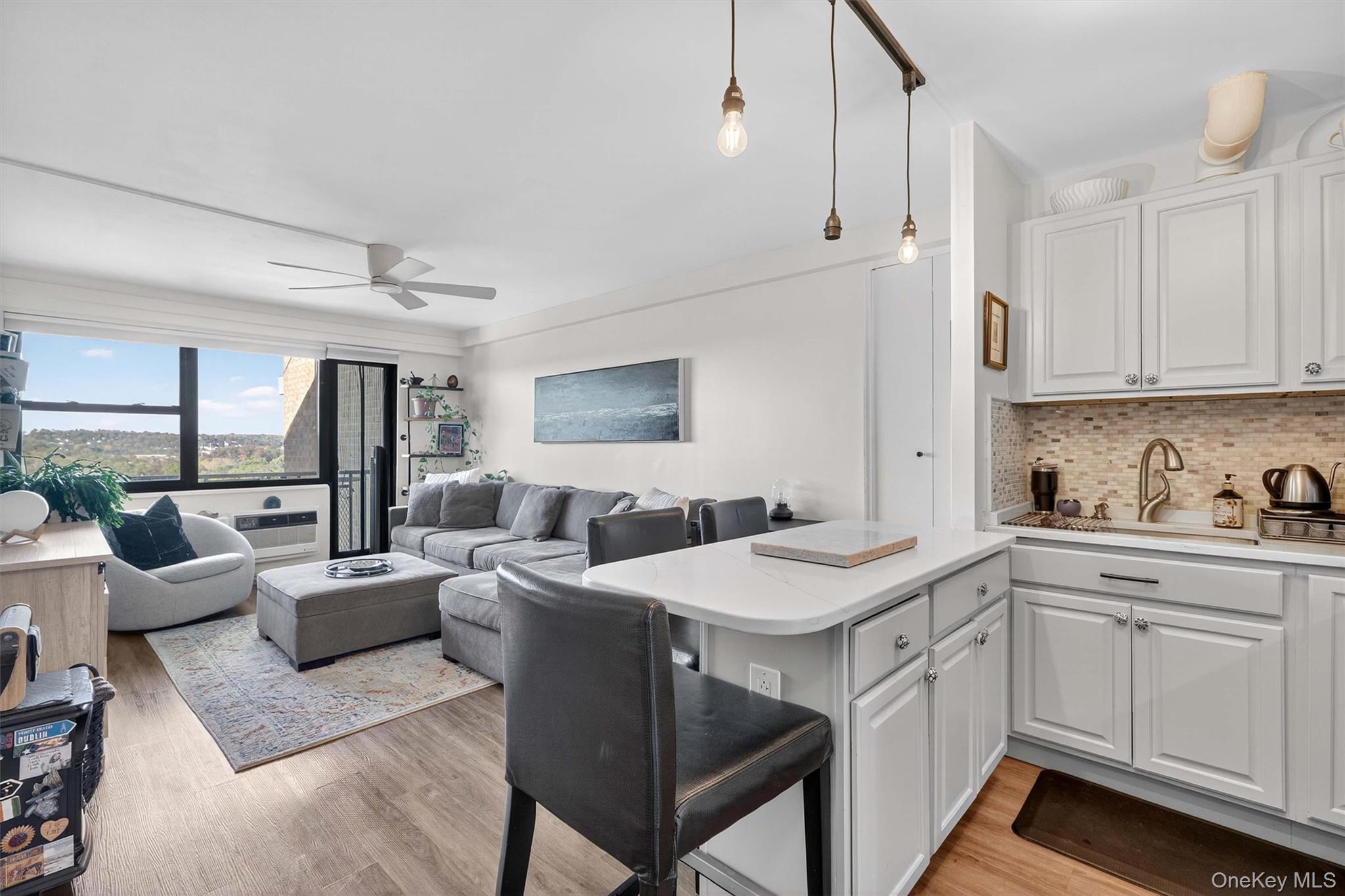 #9 photo, 155 Ferris Avenue, White Plains , NY 10603