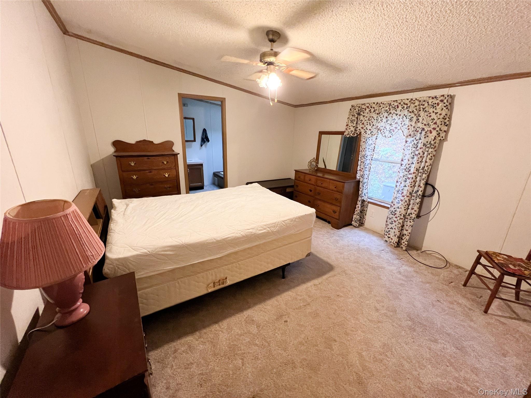 #13 photo, 509 Burnwood Road, East Branch , NY 13756