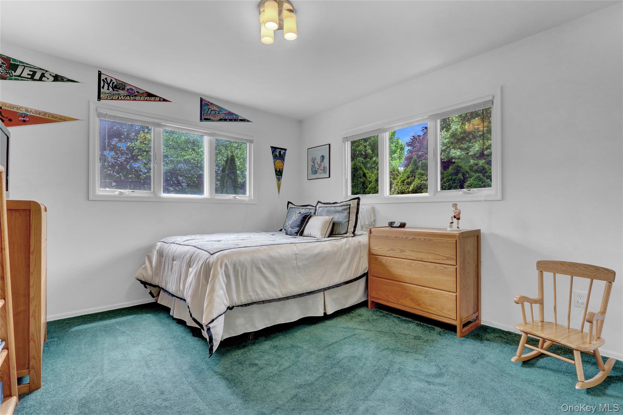 #16 photo, 23 Lillian Lane, ナッソー郡 Plainview , NY 11803