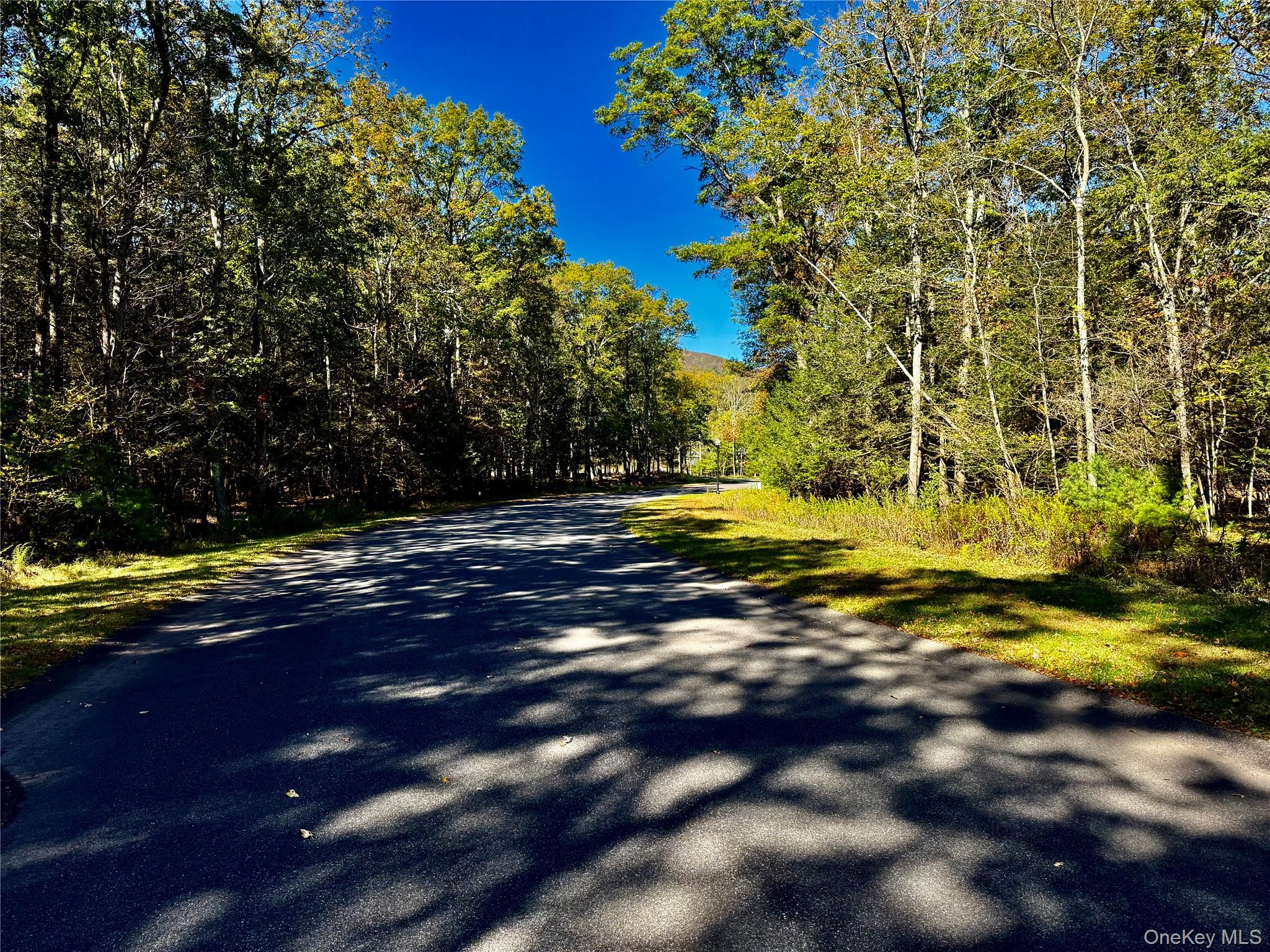 #5 photo, 78 Falling Waters Drive, Palenville , NY 12463