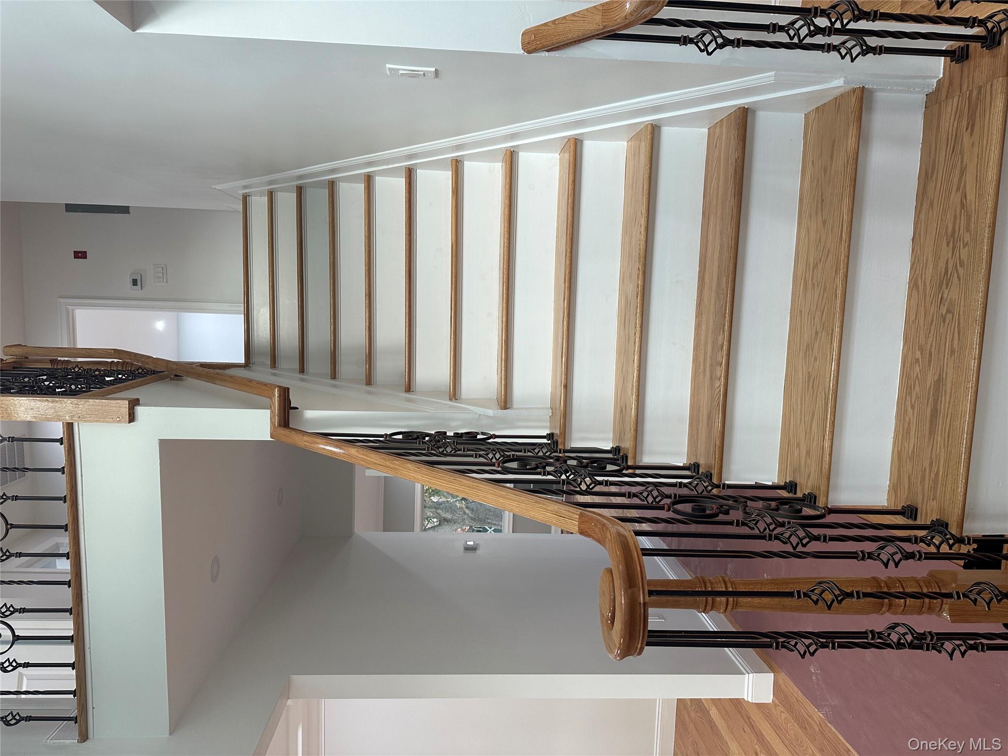 #14 photo, 244 Andrews Road, ナッソー郡 Mineola , NY 11501