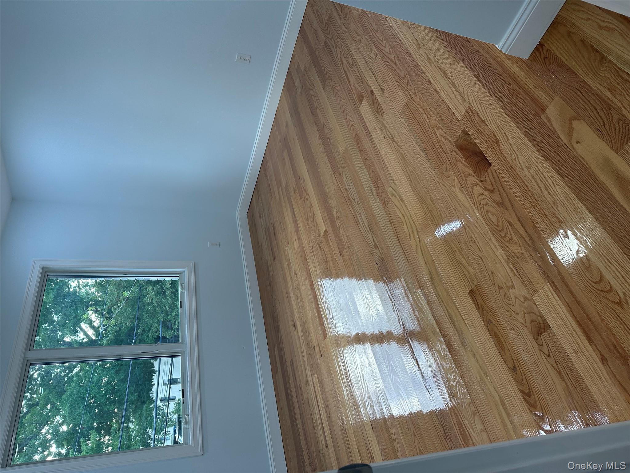 #16 photo, 244 Andrews Road, ナッソー郡 Mineola , NY 11501