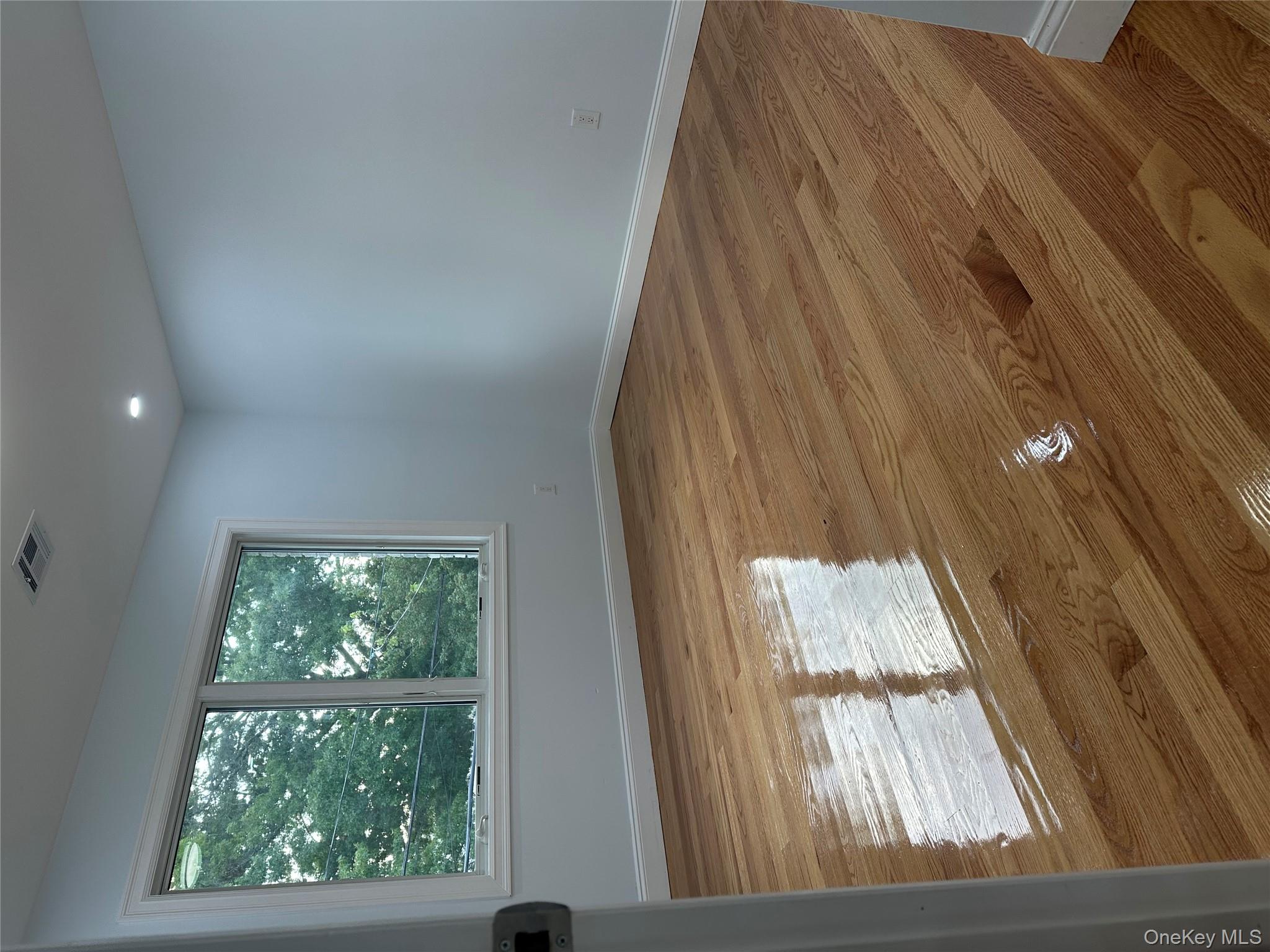 #18 photo, 244 Andrews Road, ナッソー郡 Mineola , NY 11501