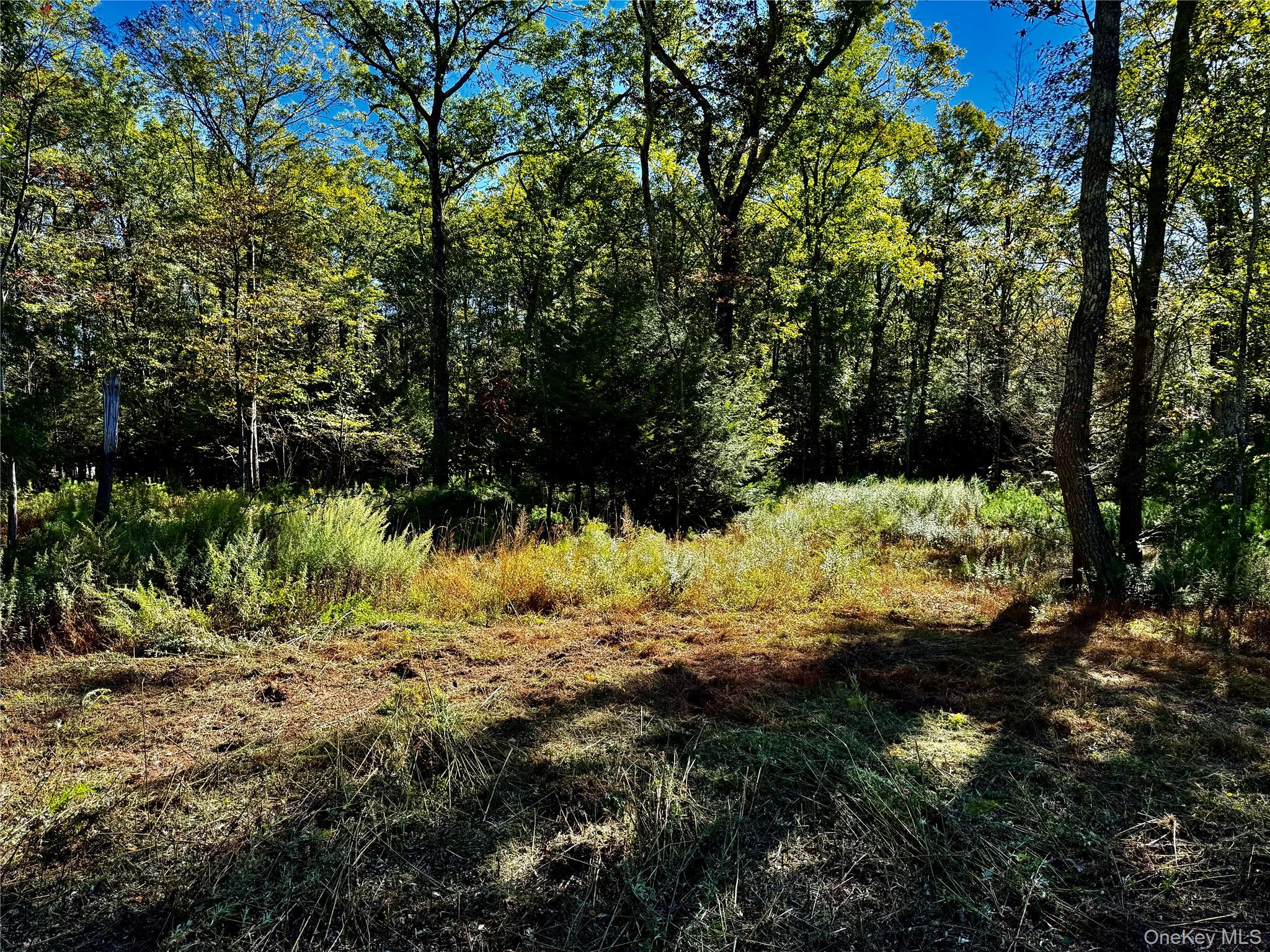 #4 photo, 86 Falling Waters Drive, Palenville , NY 12463