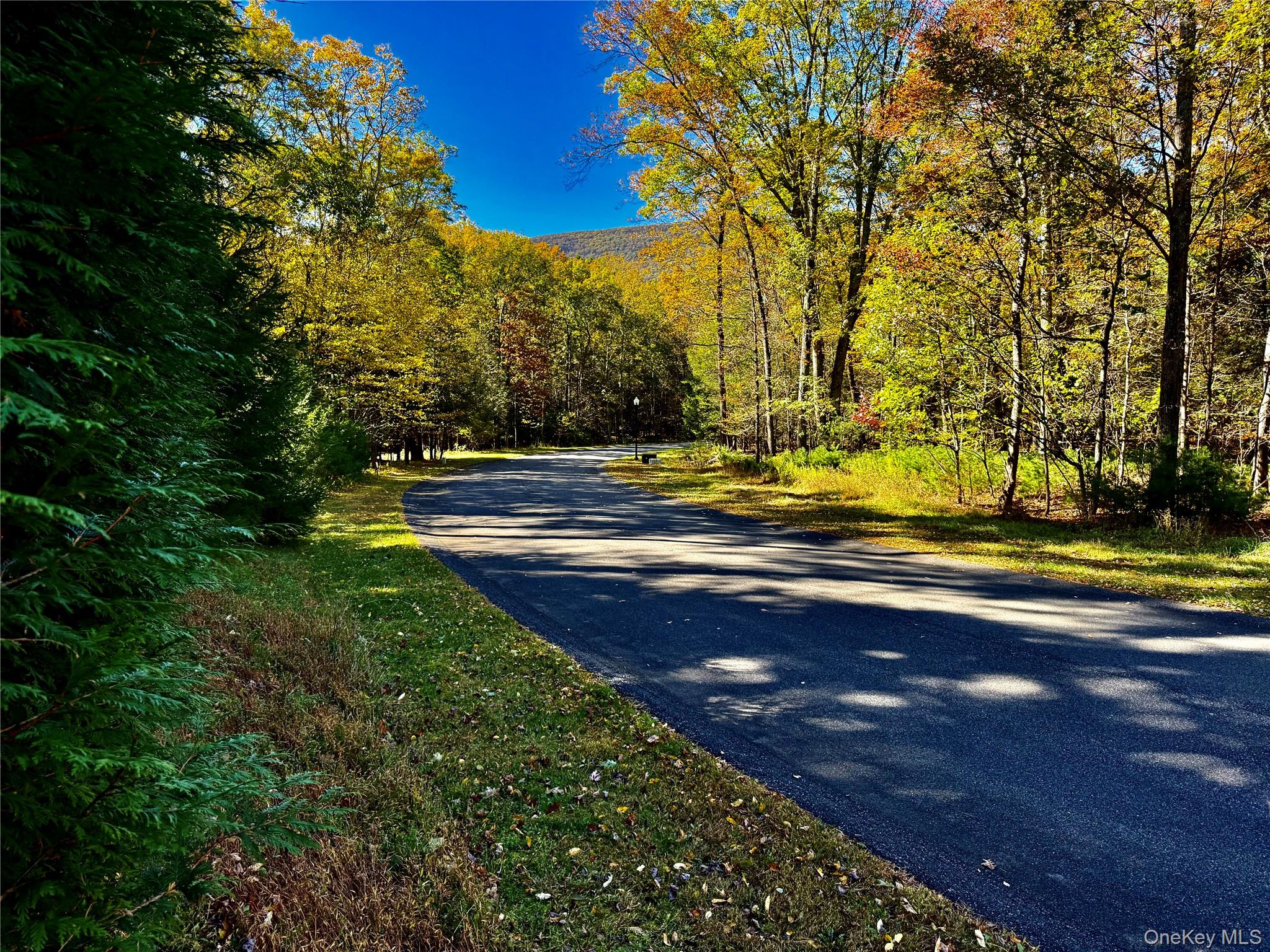 #7 photo, 86 Falling Waters Drive, Palenville , NY 12463