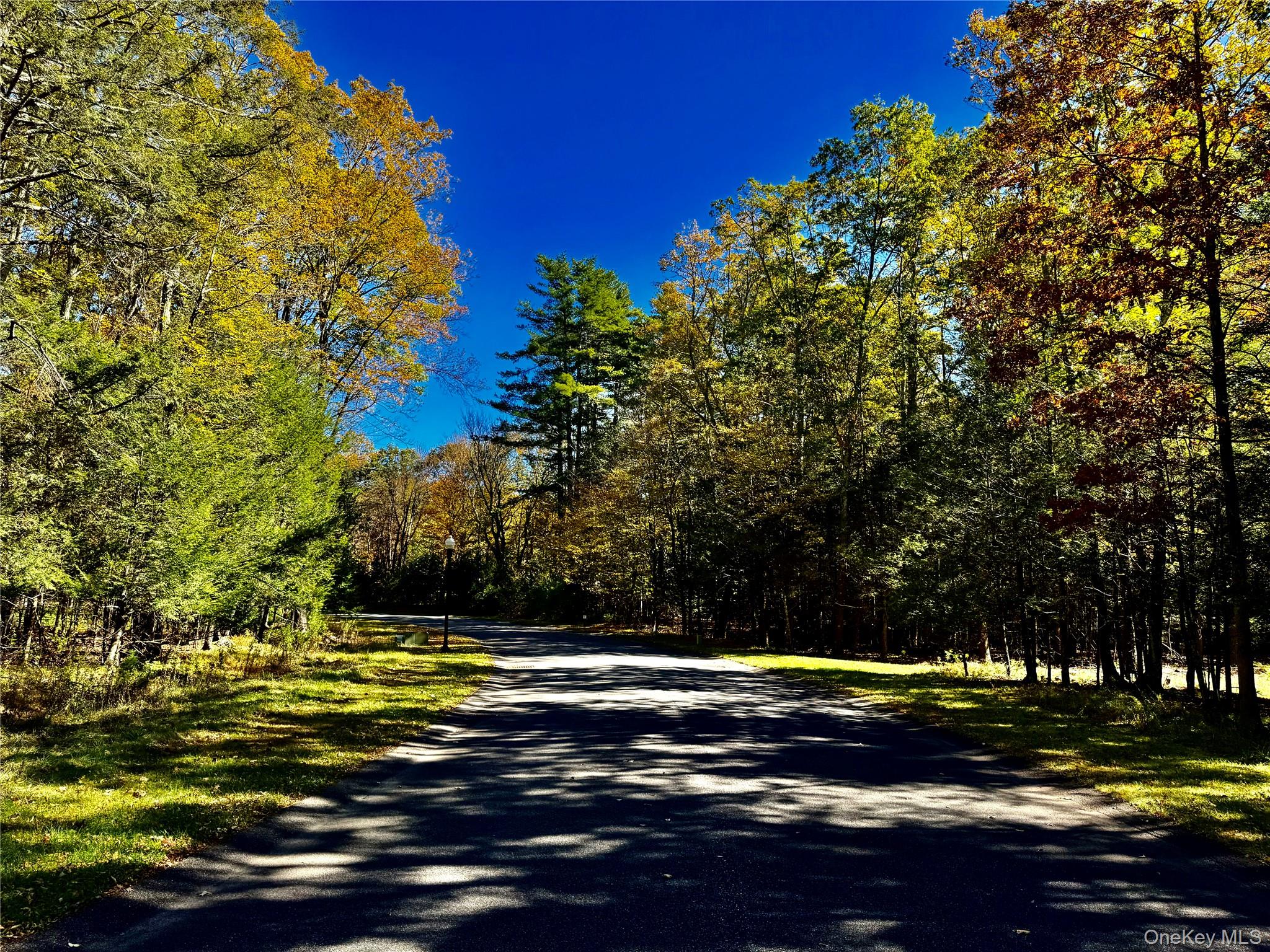 #8 photo, 86 Falling Waters Drive, Palenville , NY 12463