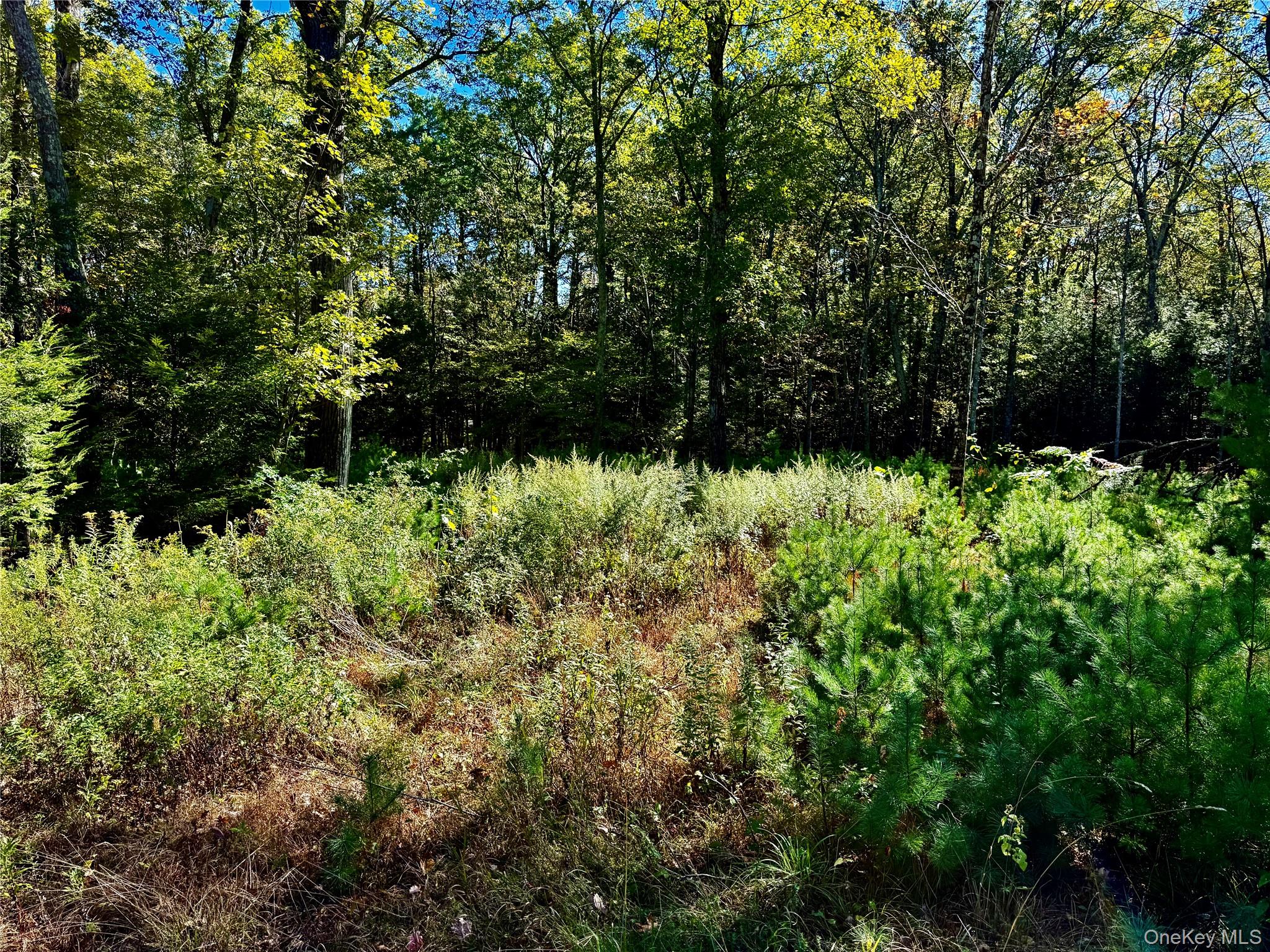 #10 photo, 44-86 Falling Waters Drive, Palenville , NY 12463