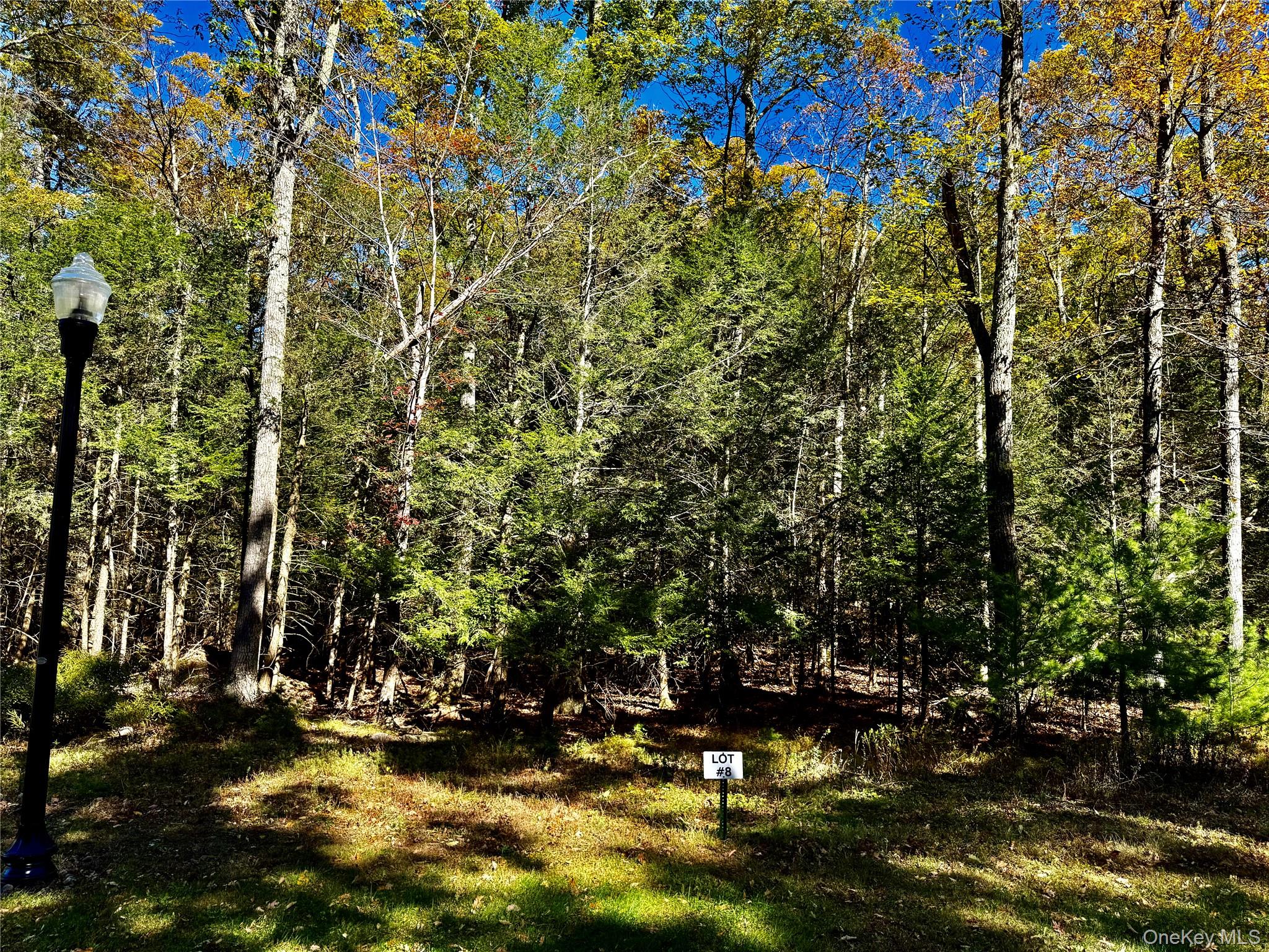 #11 photo, 44-86 Falling Waters Drive, Palenville , NY 12463