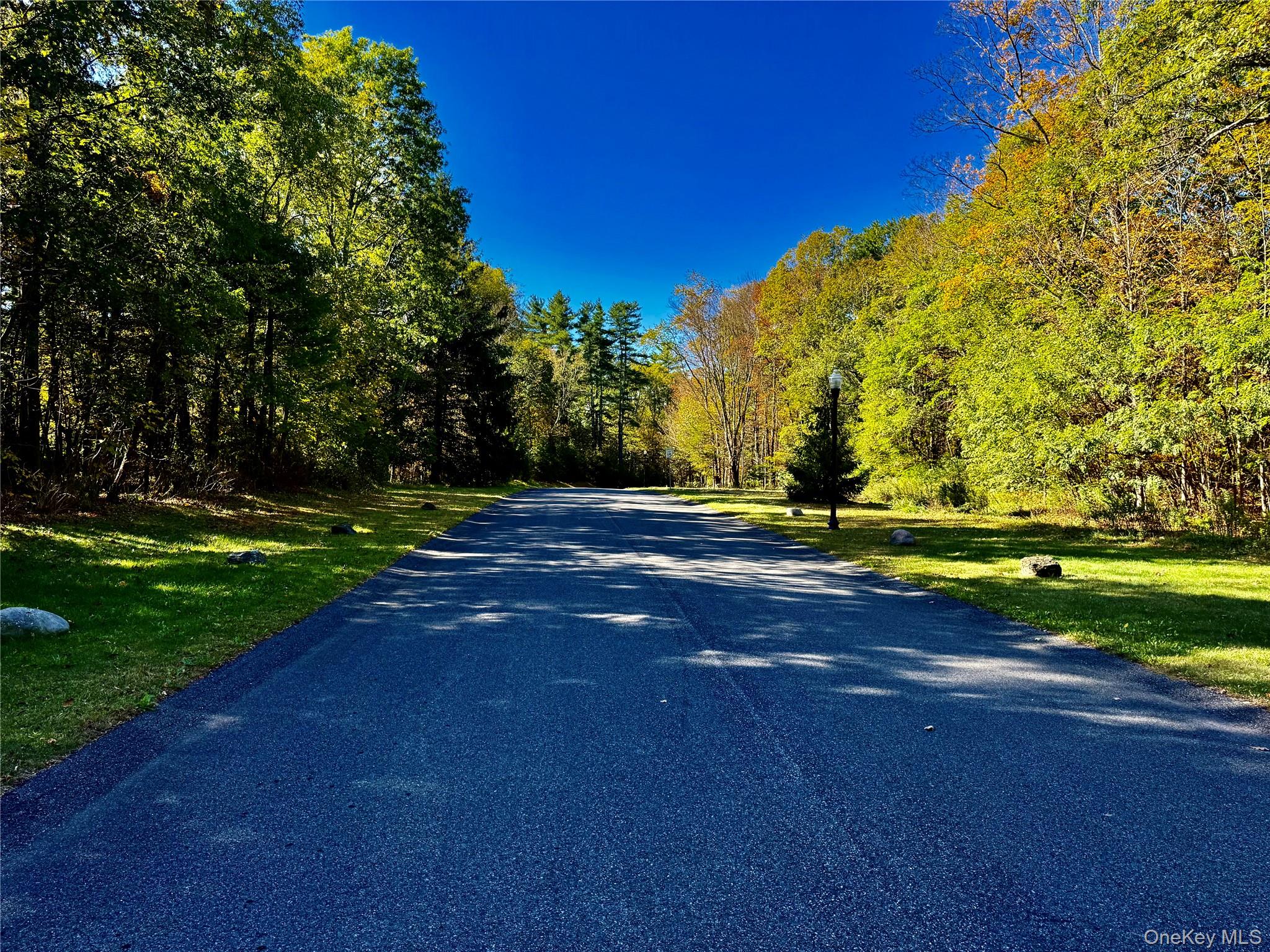 #2 photo, 44-86 Falling Waters Drive, Palenville , NY 12463