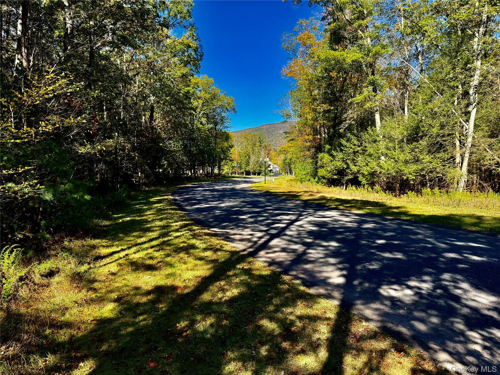 #3 photo, 44-86 Falling Waters Drive, Palenville , NY 12463